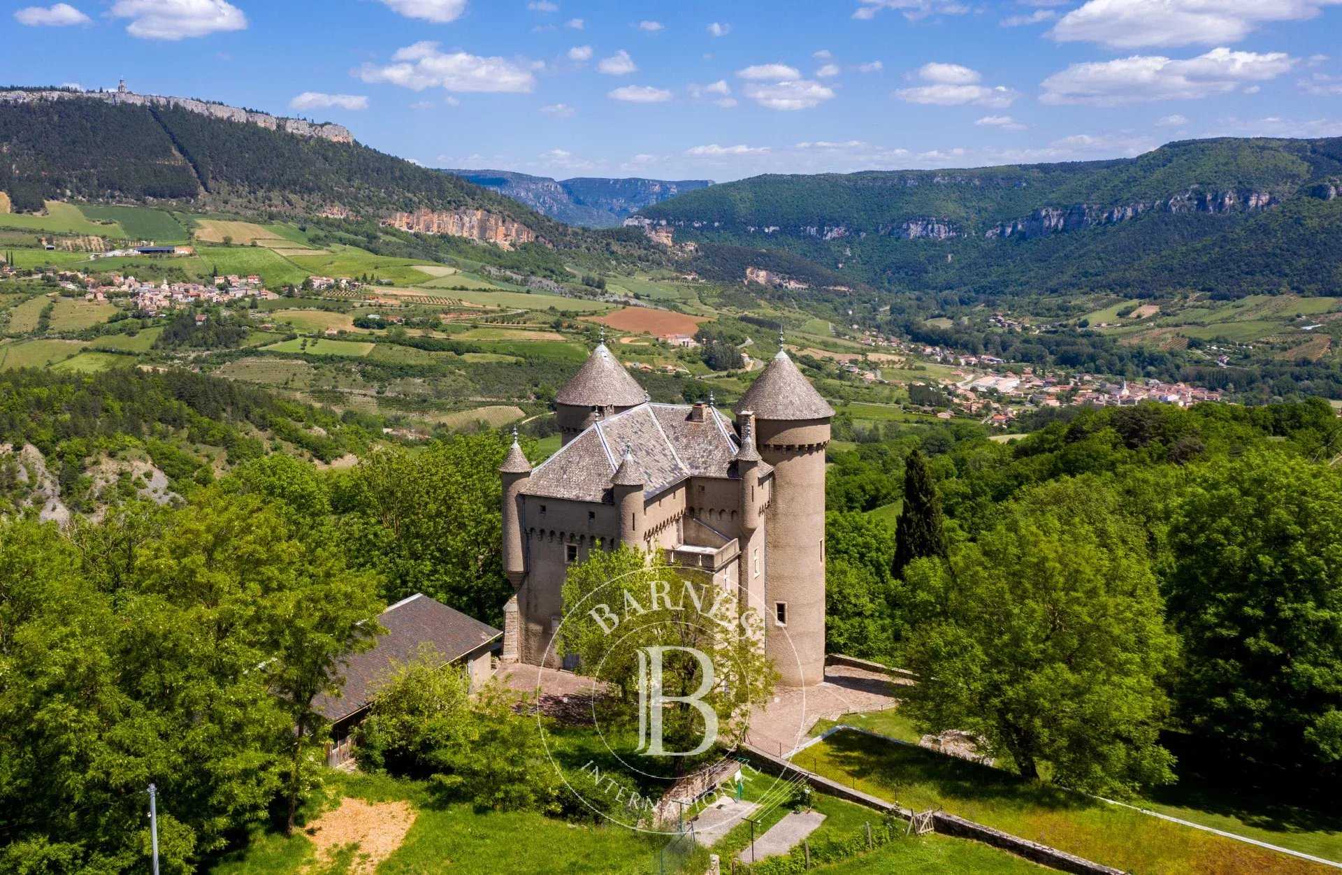 Château Millau  -  ref 85789810 (picture 2)