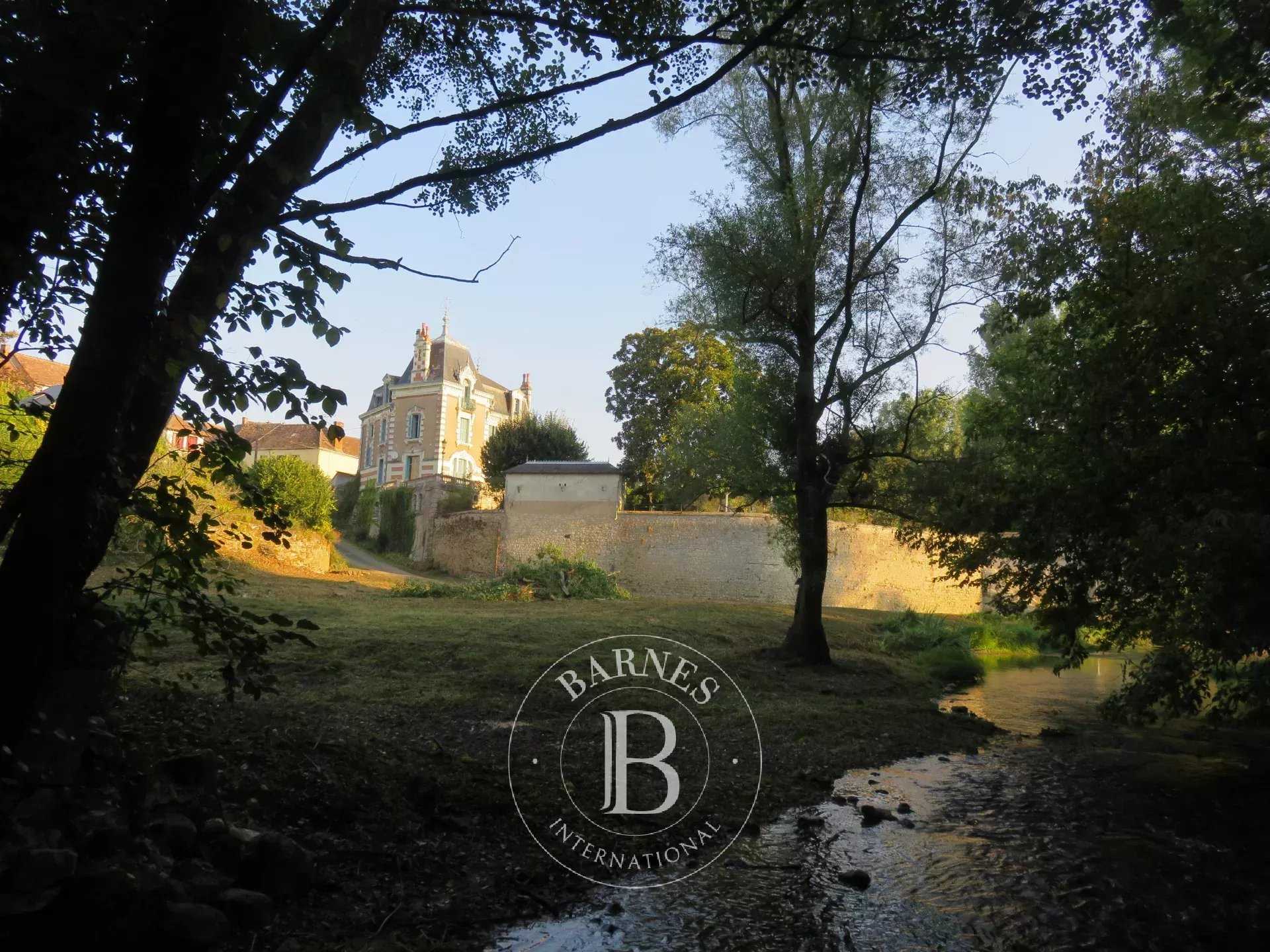 Hôtel particulier La Roche-Posay  -  ref 86154194 (picture 3)