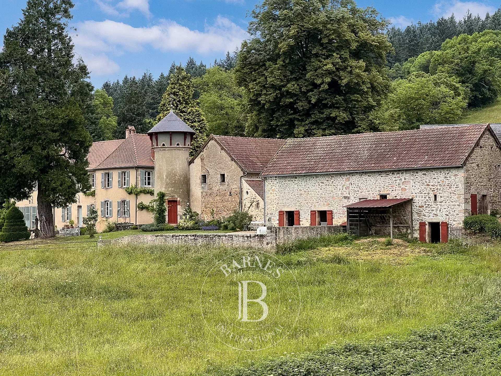 Château Luzy  -  ref 86052187 (picture 3)