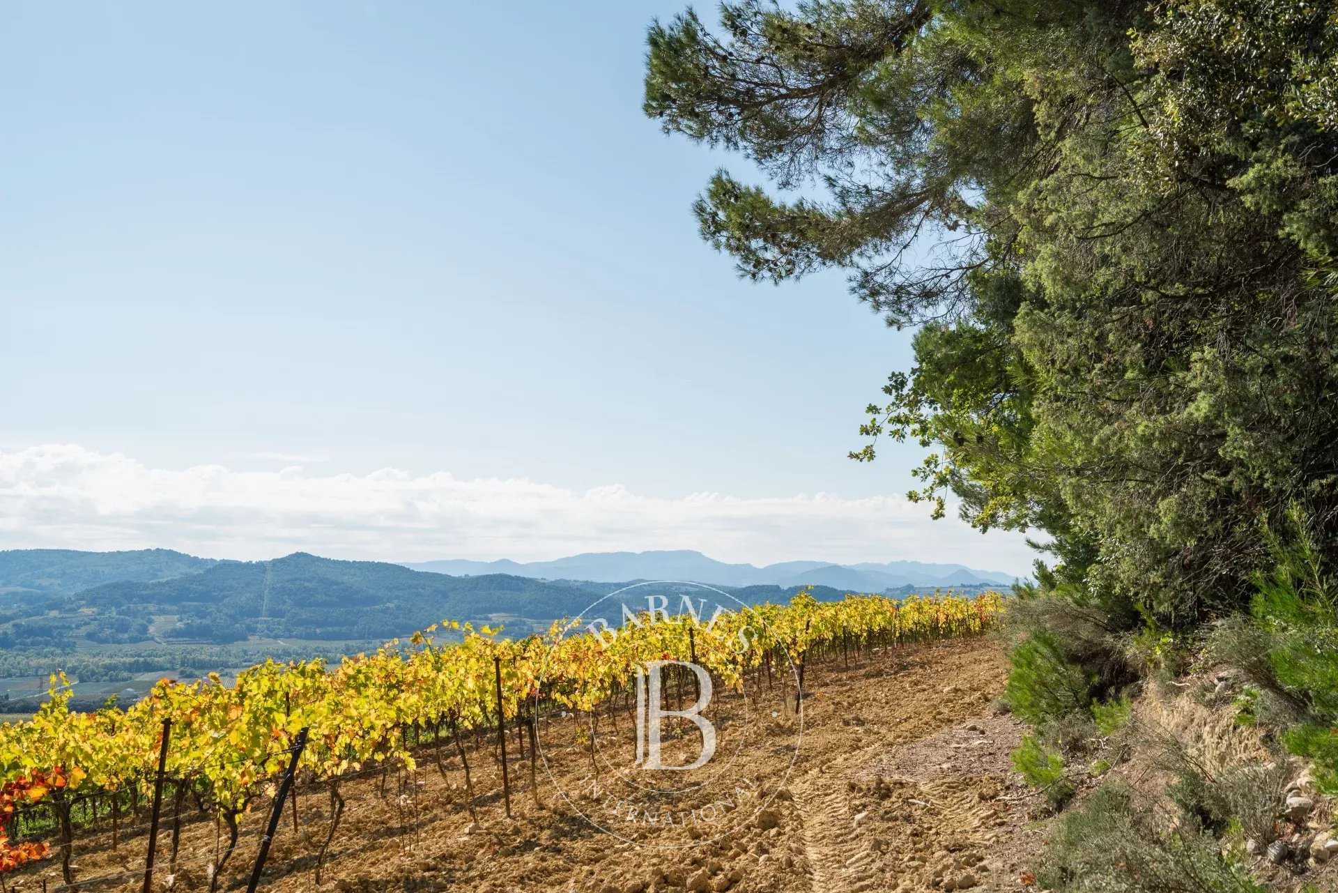 Propriété viticole Vaison-la-Romaine  -  ref 86954300 (picture 3)