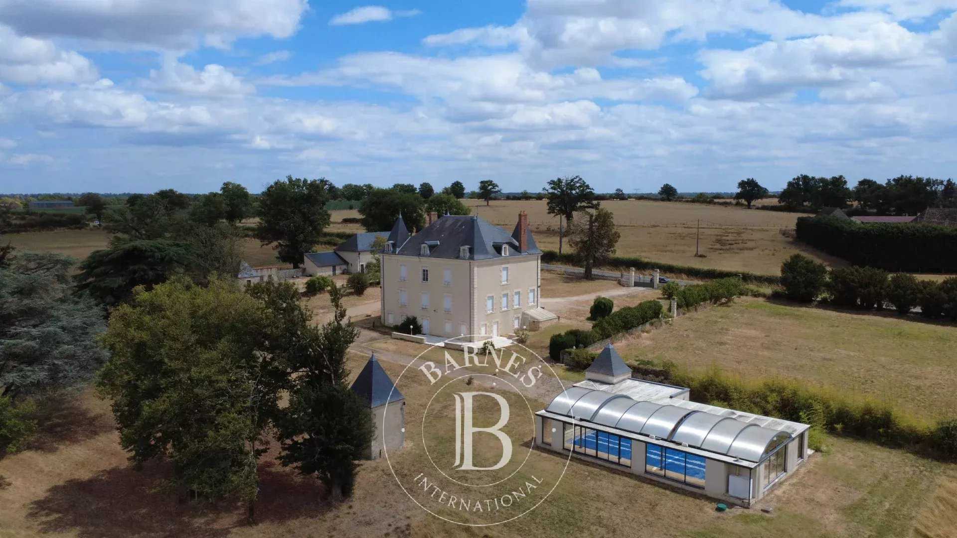 Manor house La Trimouille  -  ref 85270522 (picture 2)