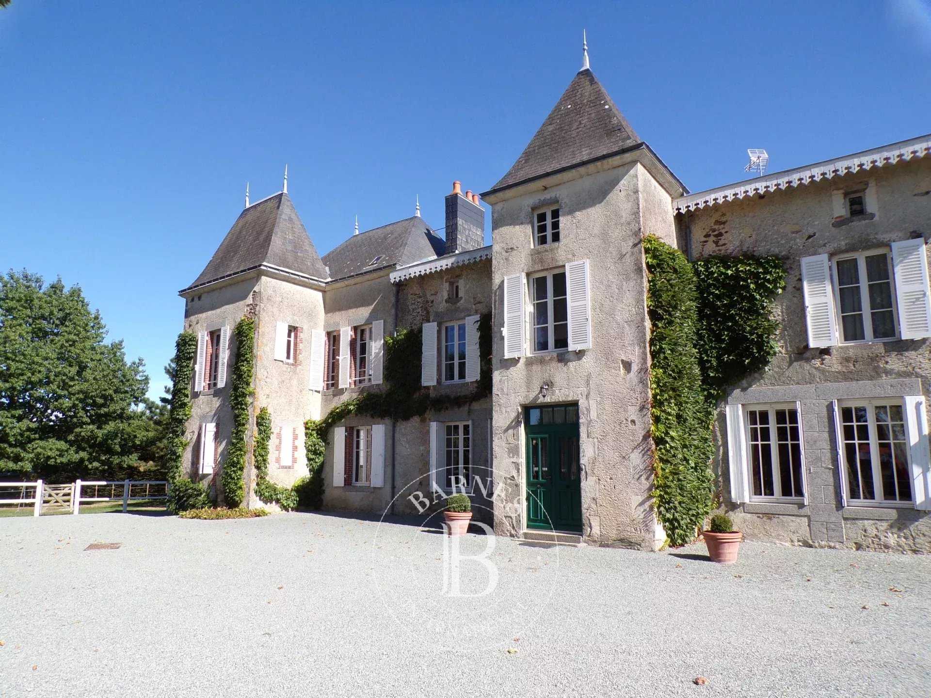 Château Pouzauges  -  ref 7150386 (picture 2)
