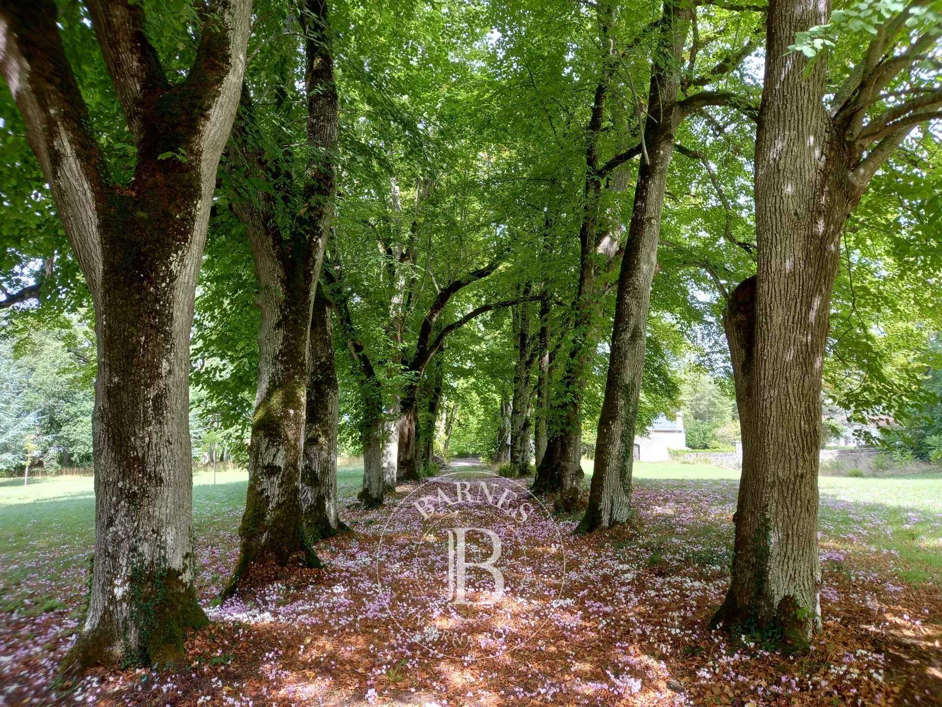 Castle Châtellerault  -  ref 85074172 (picture 2)