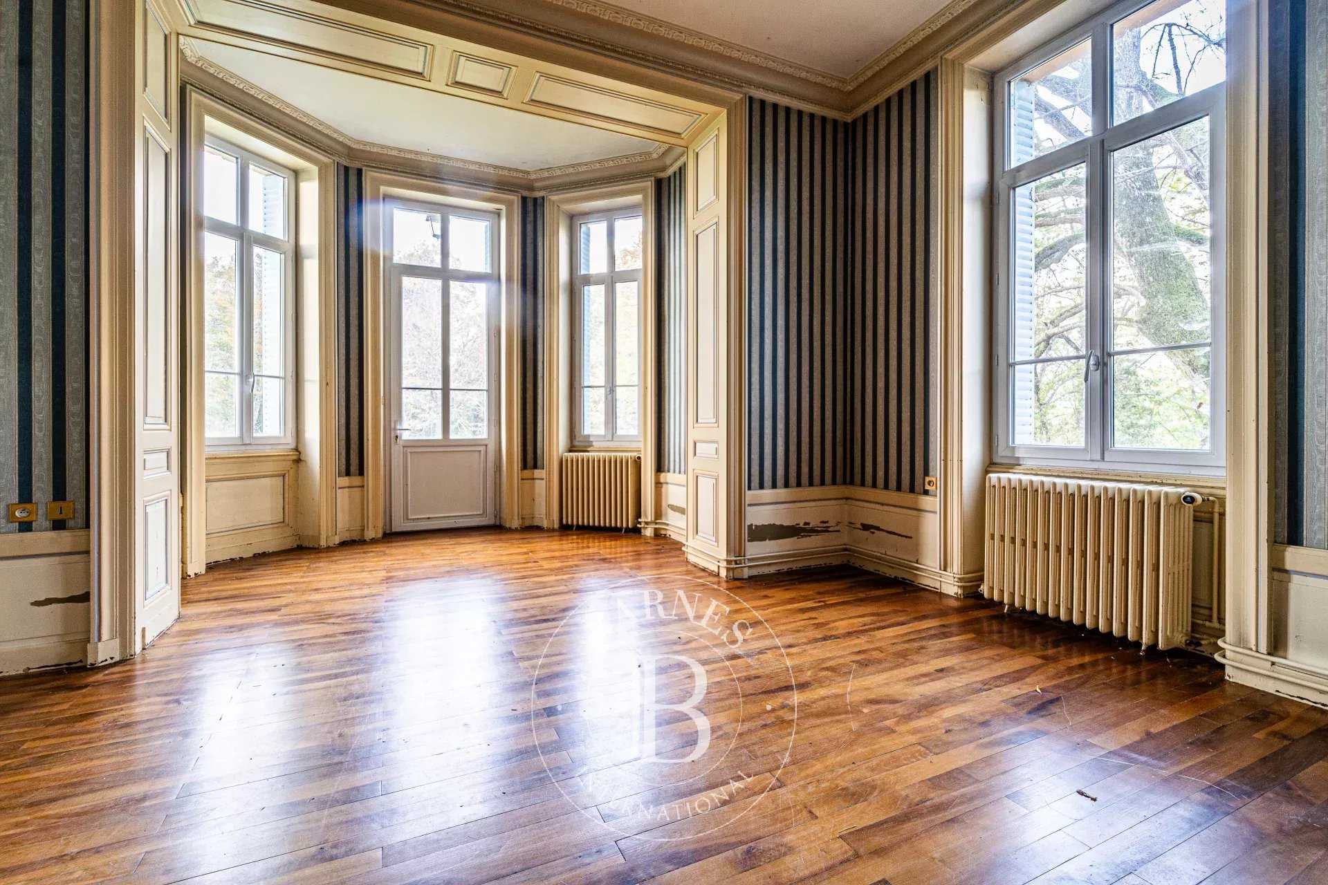 Château Eyzin-Pinet  -  ref 86418998 (picture 3)