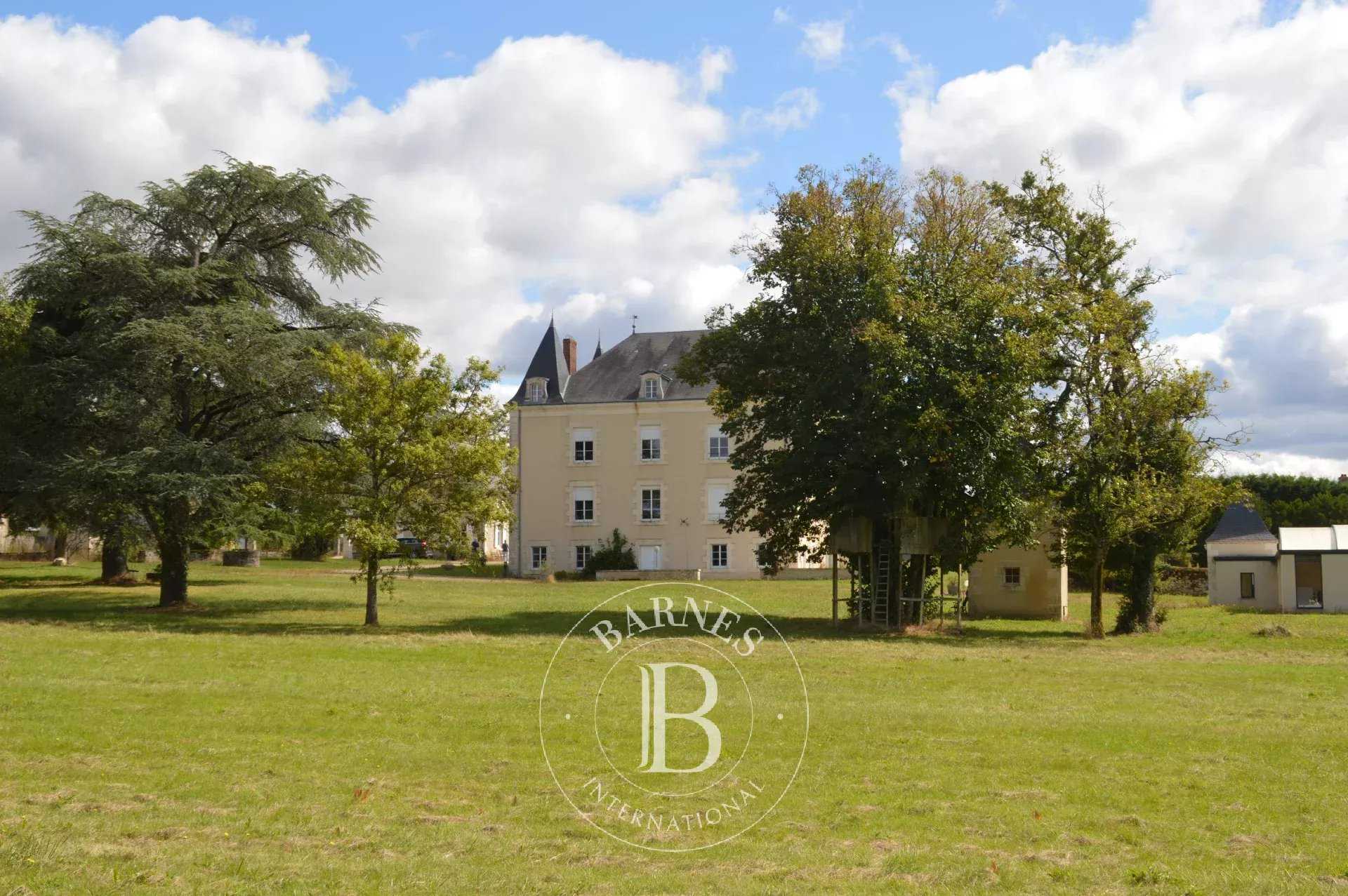 Manor house La Trimouille  -  ref 85270522 (picture 1)