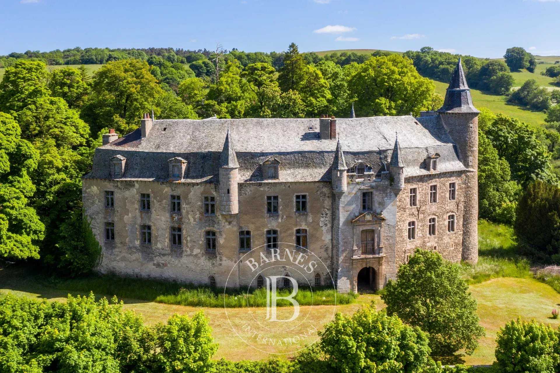 Château Millau  -  ref 84905931 (picture 2)