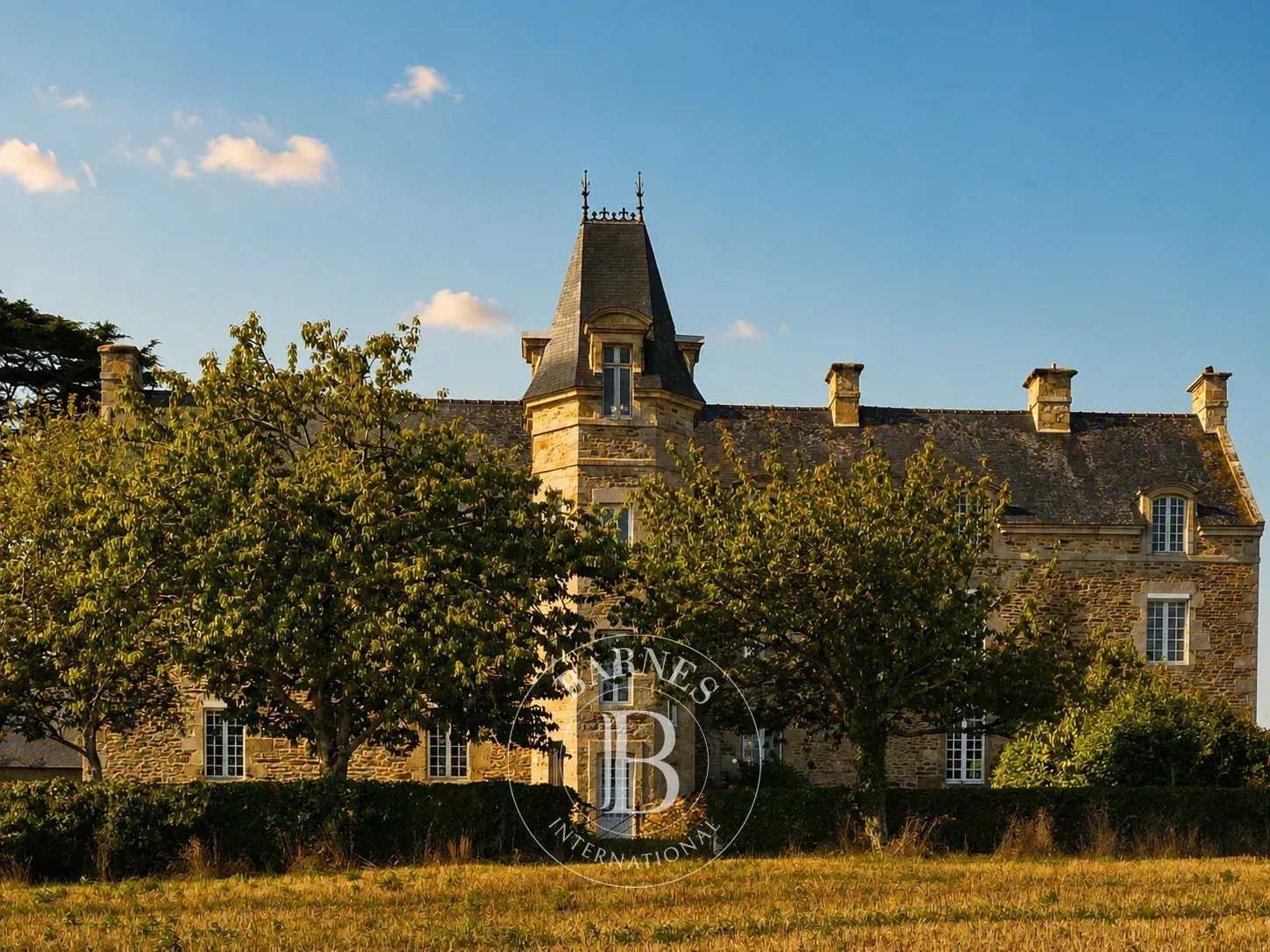 Château Saint-Cast-le-Guildo  -  ref 82330922 (picture 3)