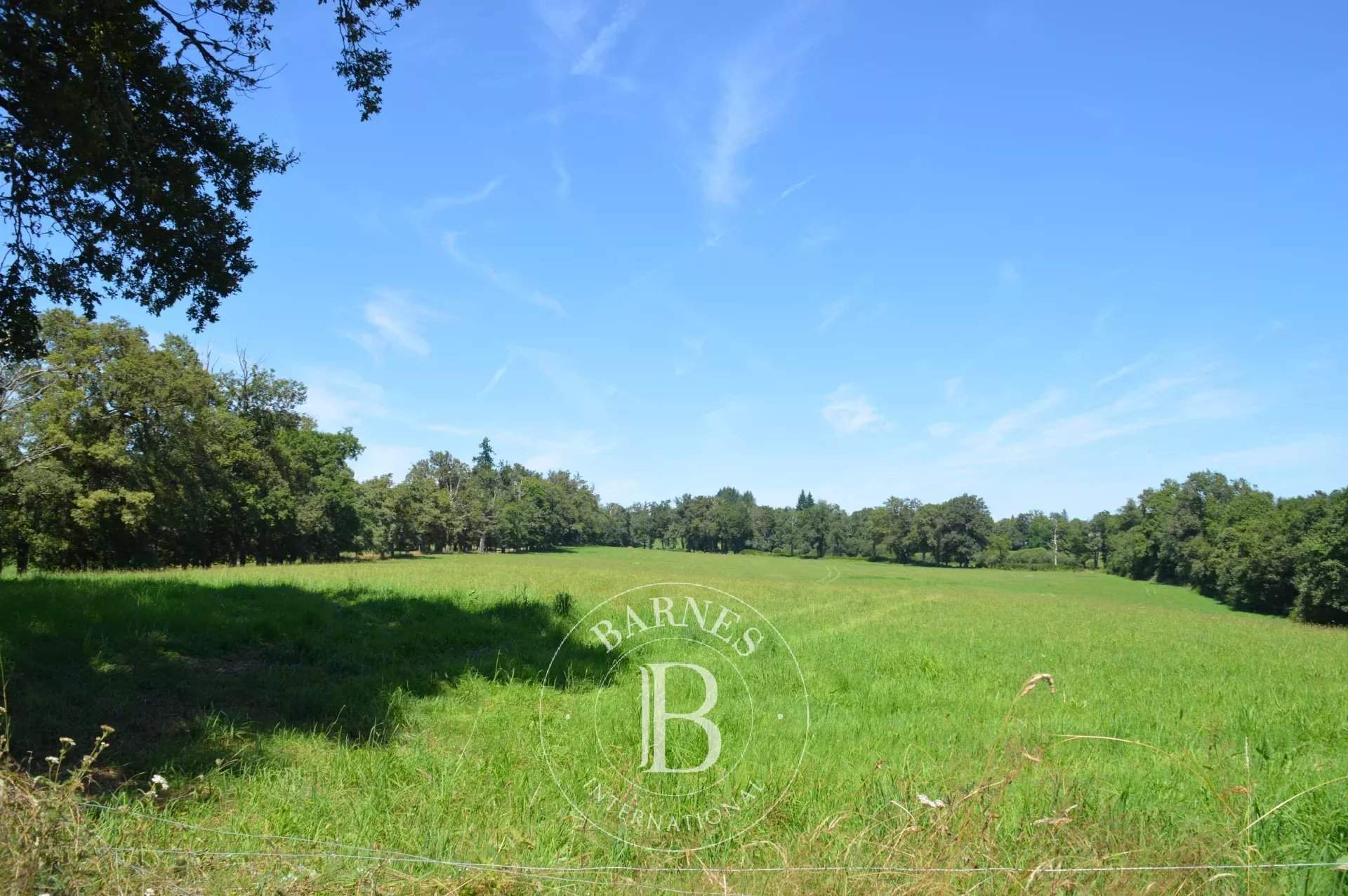 Limoges  - Manoir 15 Pi&egrave;ces 10 Chambres - picture 20