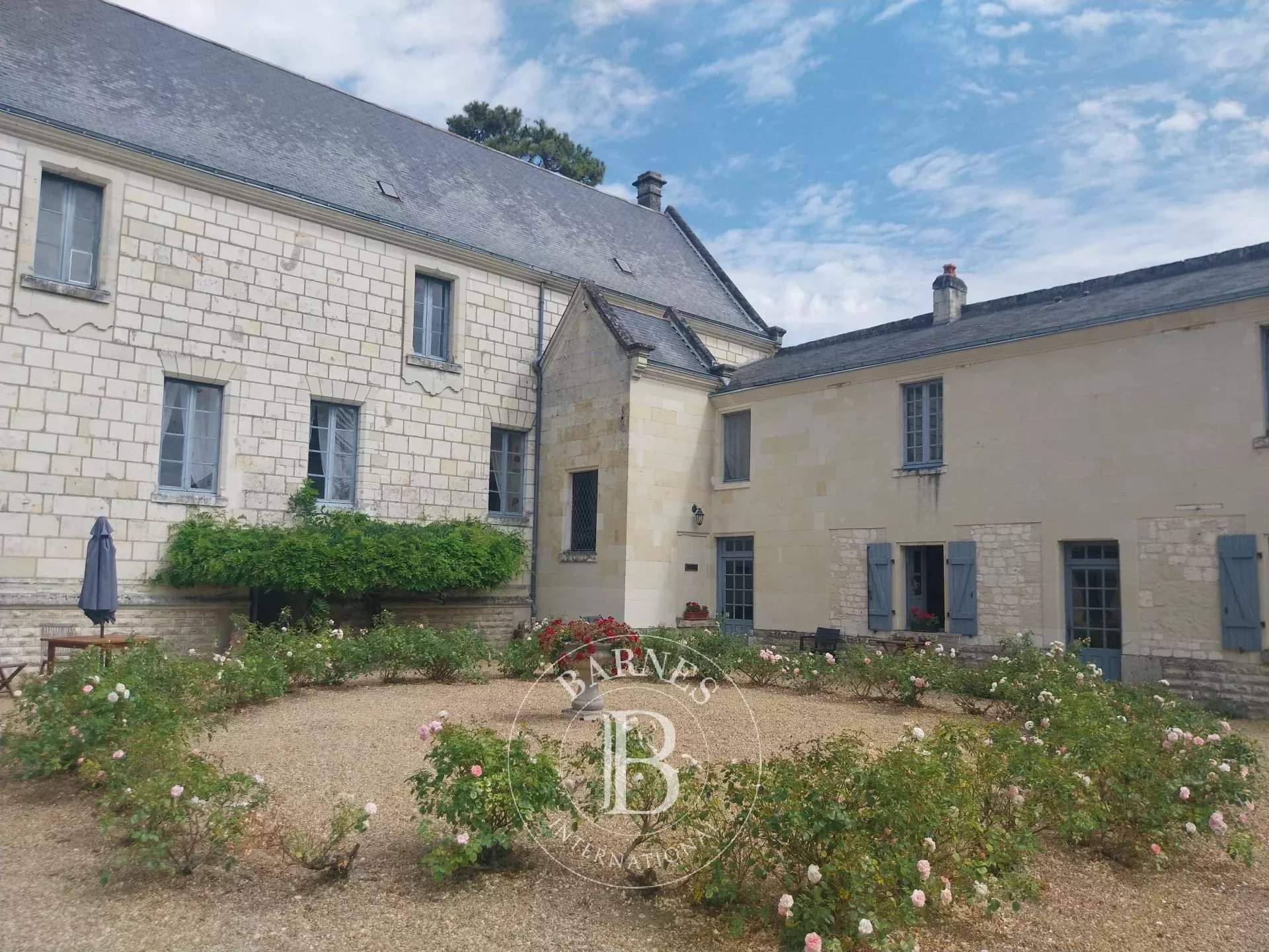 Chinon  - Château 17 Pi&egrave;ces 9 Chambres - picture 9