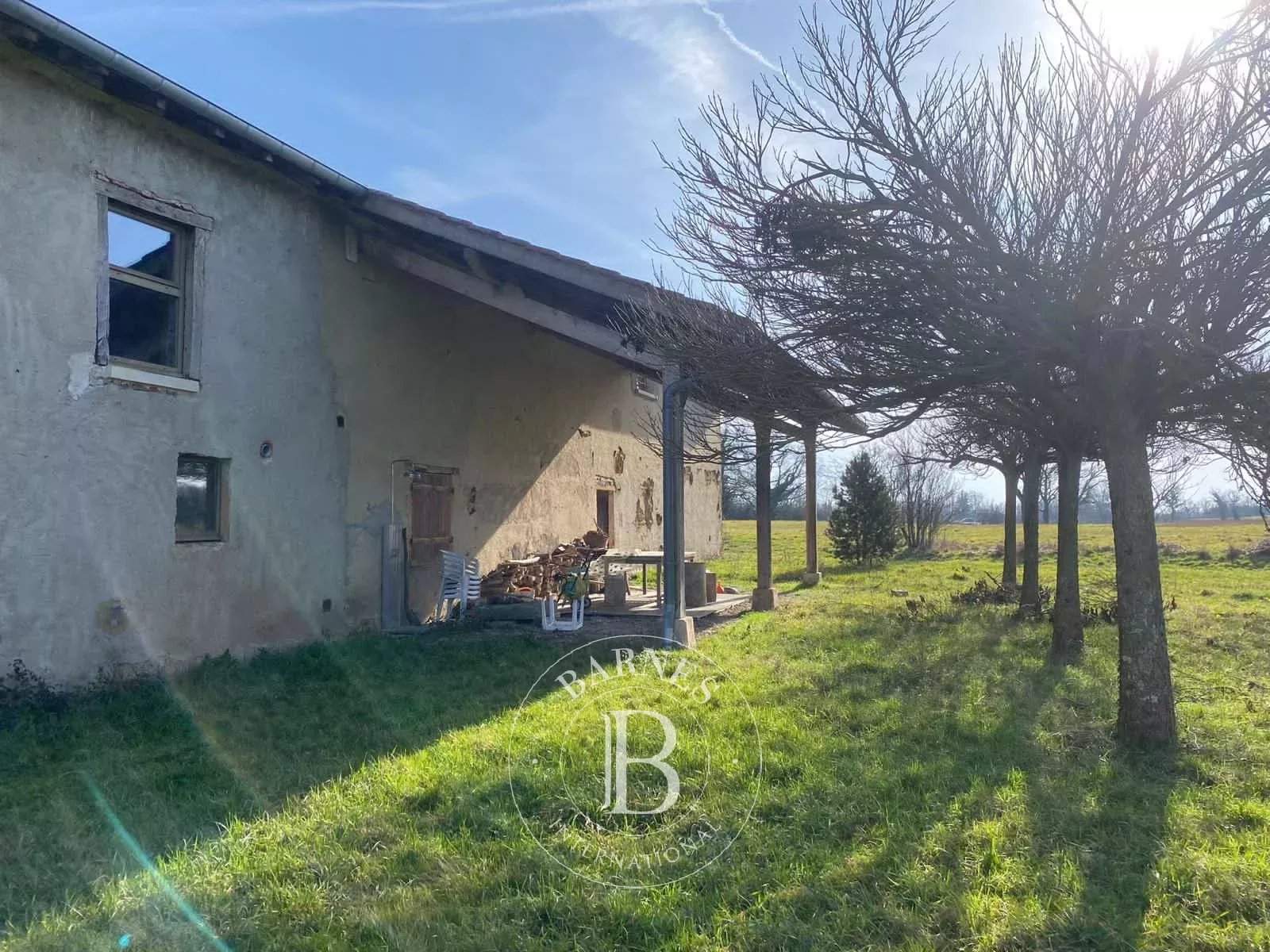 Villars-les-Dombes  - Property  - picture 14