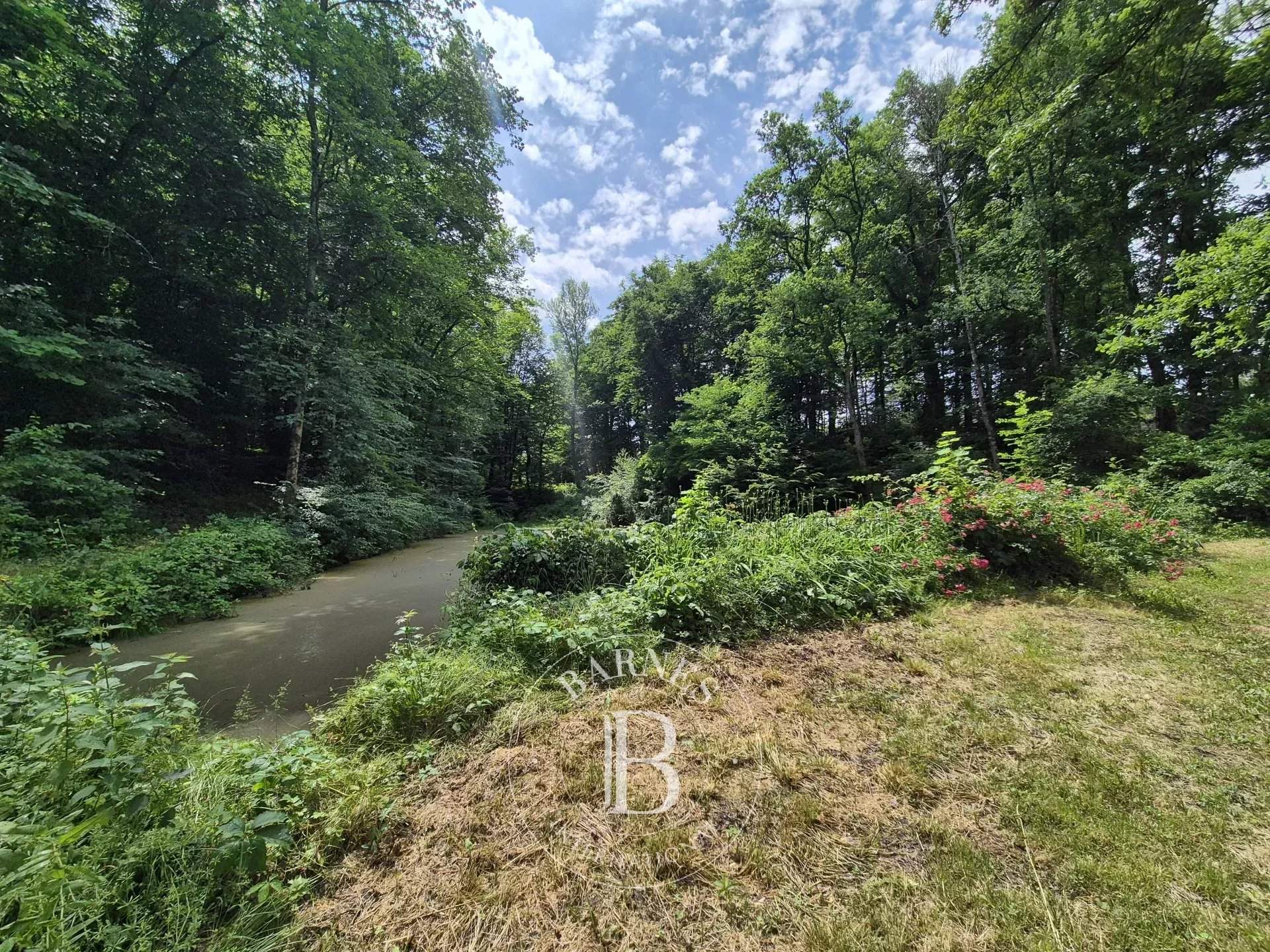 Néronde-sur-Dore  - Propriété 14 Pi&egrave;ces 9 Chambres - picture 20