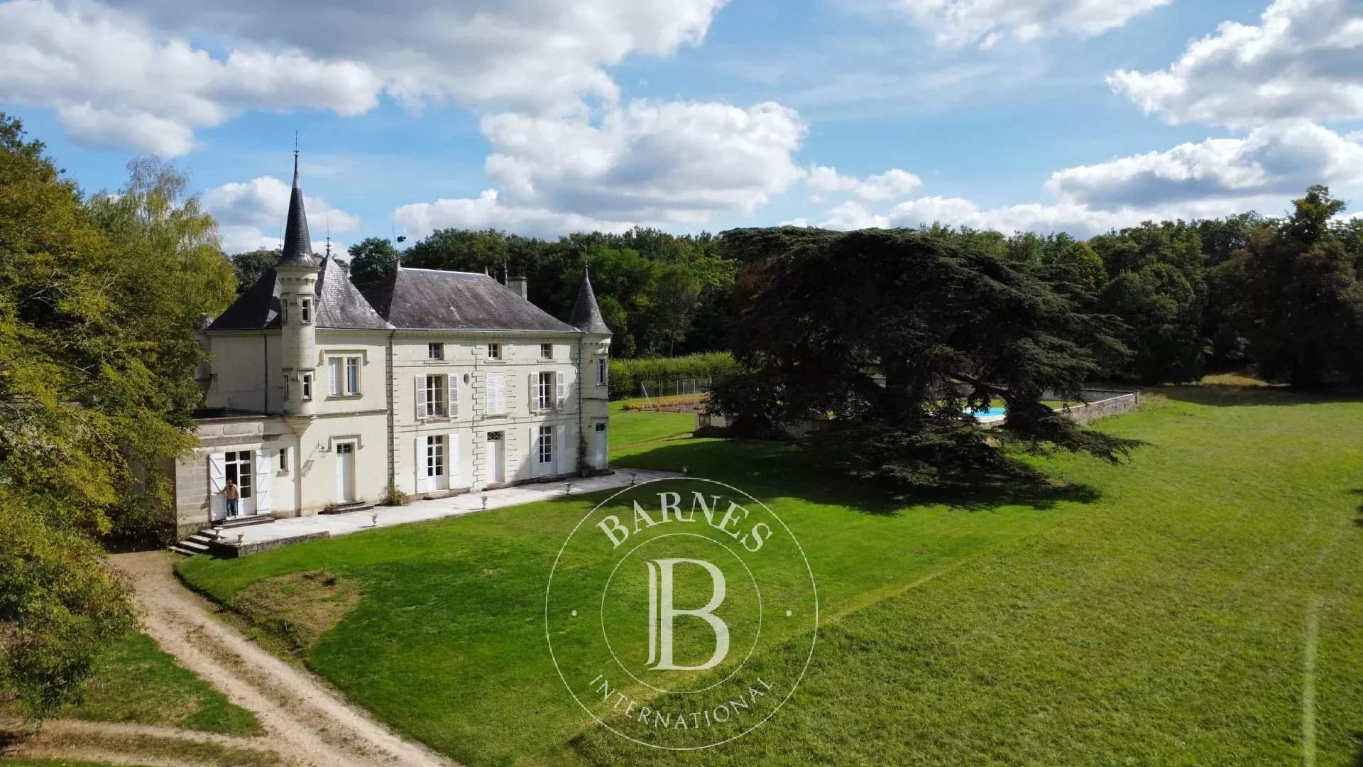 Châtellerault  - Castle 9 Bedrooms - picture 8