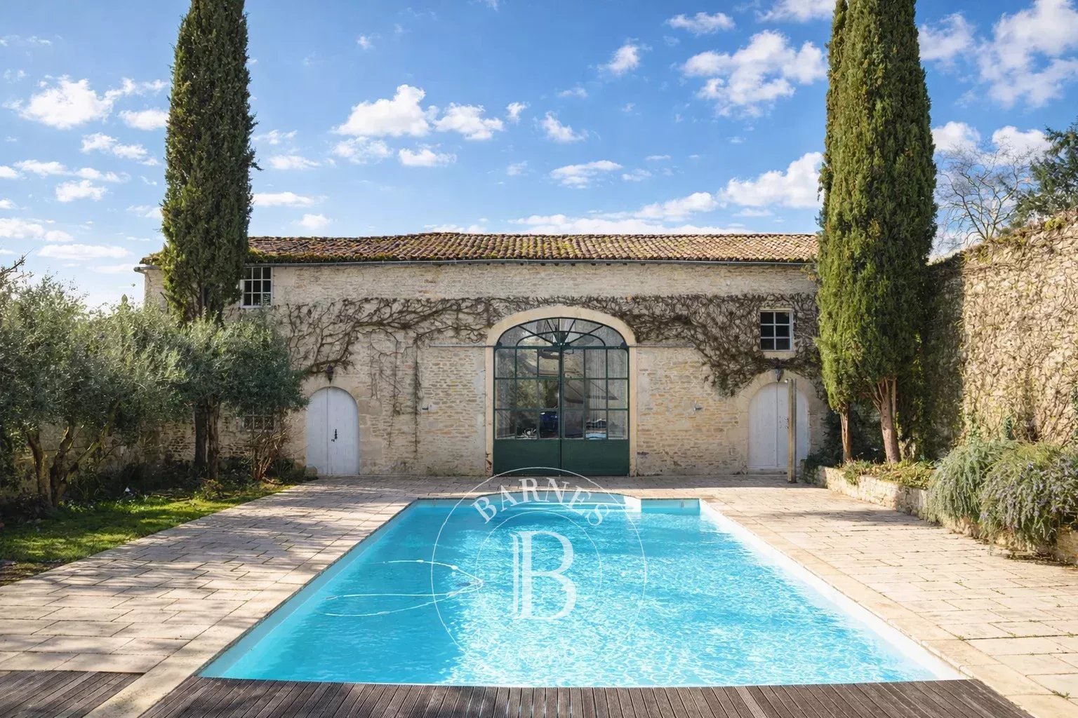 Fontenay-le-Comte  - Manoir 12 Pi&egrave;ces 6 Chambres - picture 4