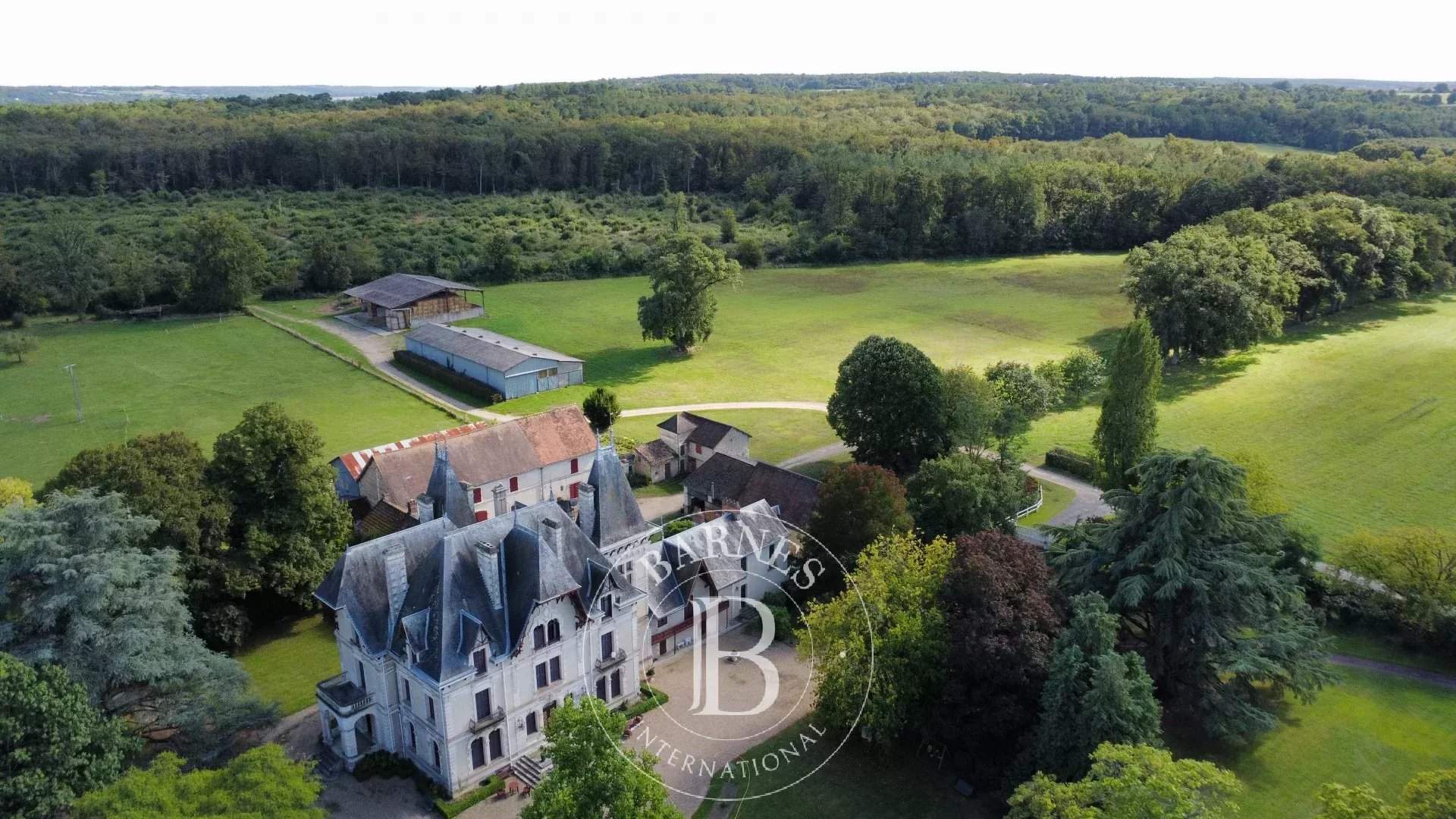 Châtellerault  - Castle 13 Bedrooms - picture 9