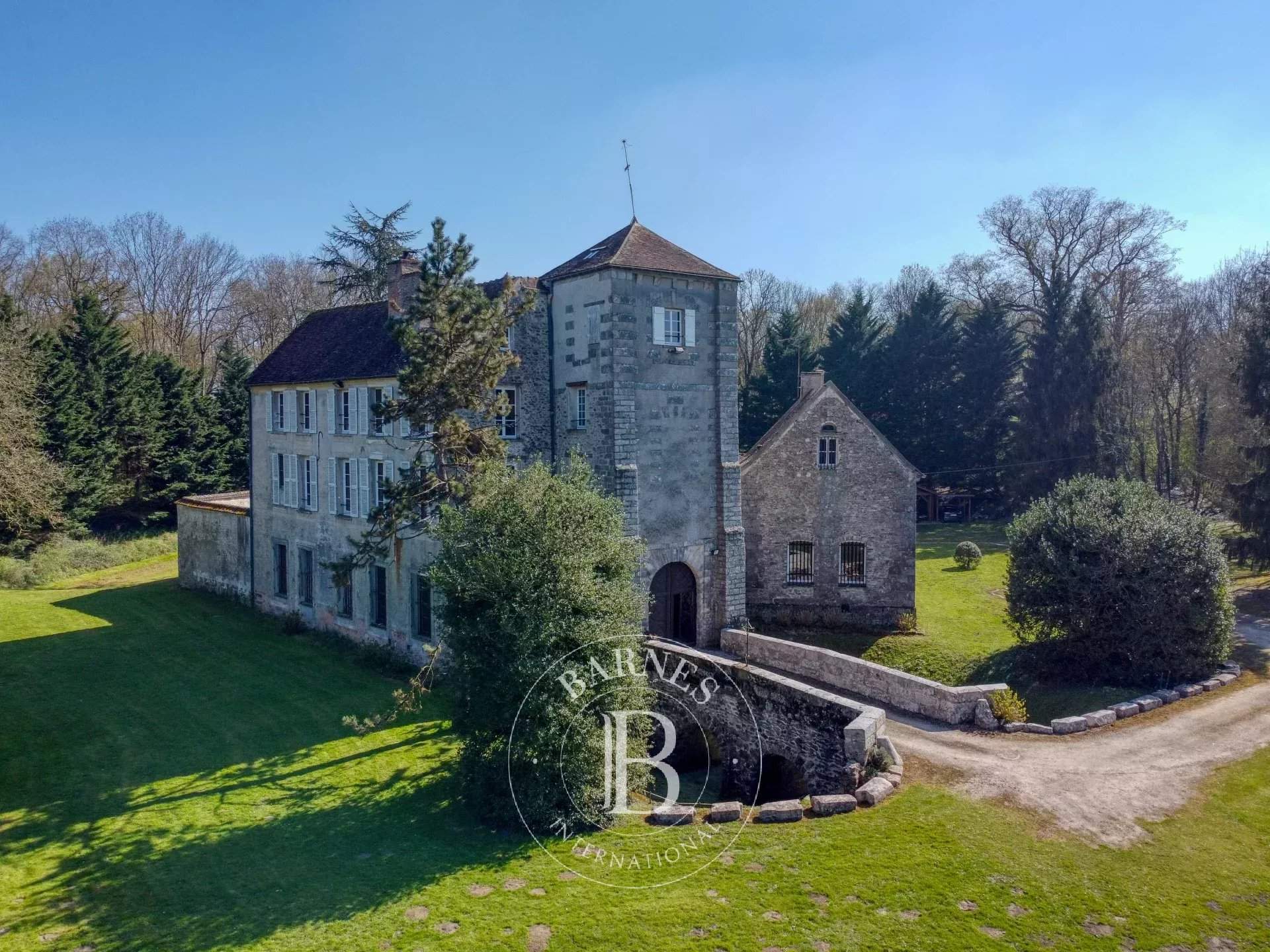 Rozay-en-Brie  - Château 10 Pi&egrave;ces 5 Chambres - picture 19