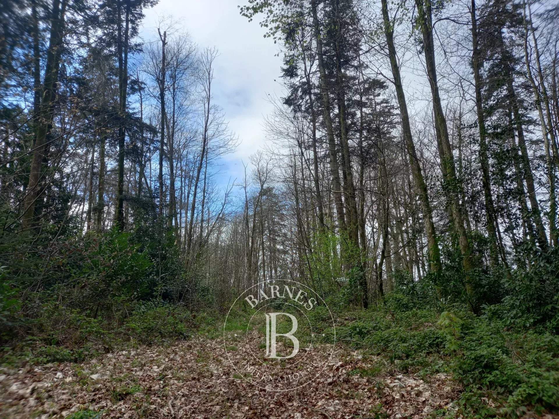 Pouzauges  - Manoir 10 Pi&egrave;ces 5 Chambres - picture 20