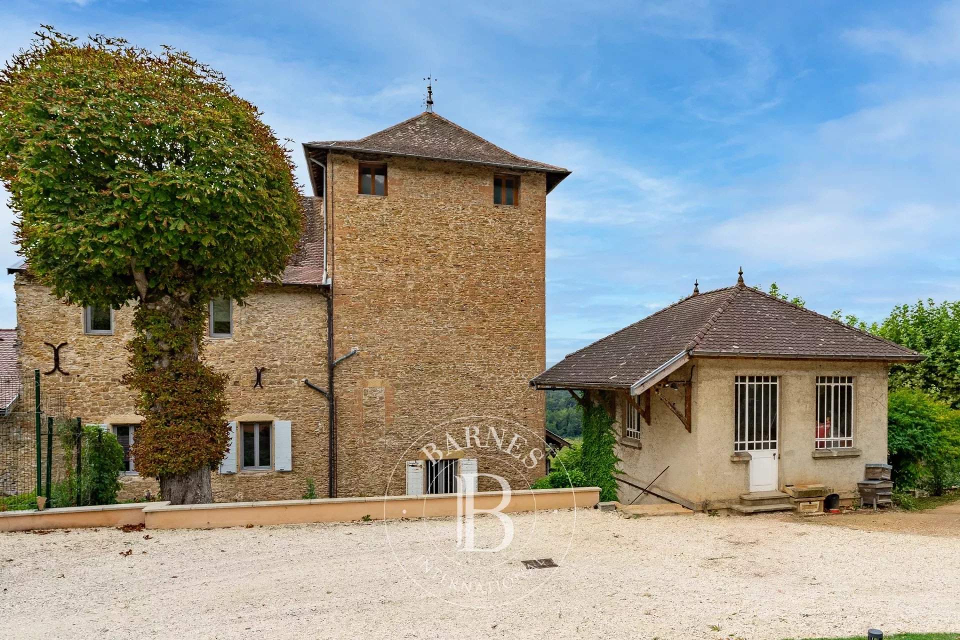 Panossas  - Castle 7 Bedrooms - picture 15