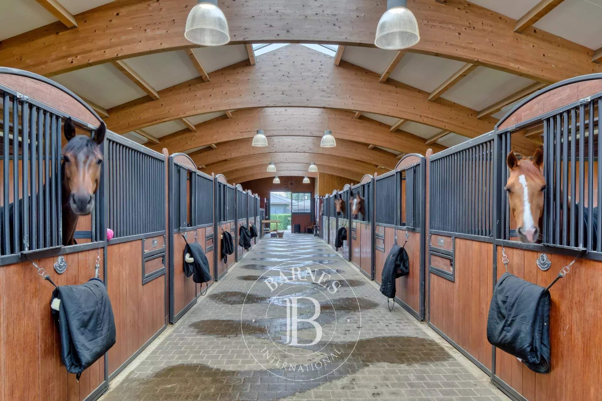 Orbec  - Equestrian estate  - picture 9