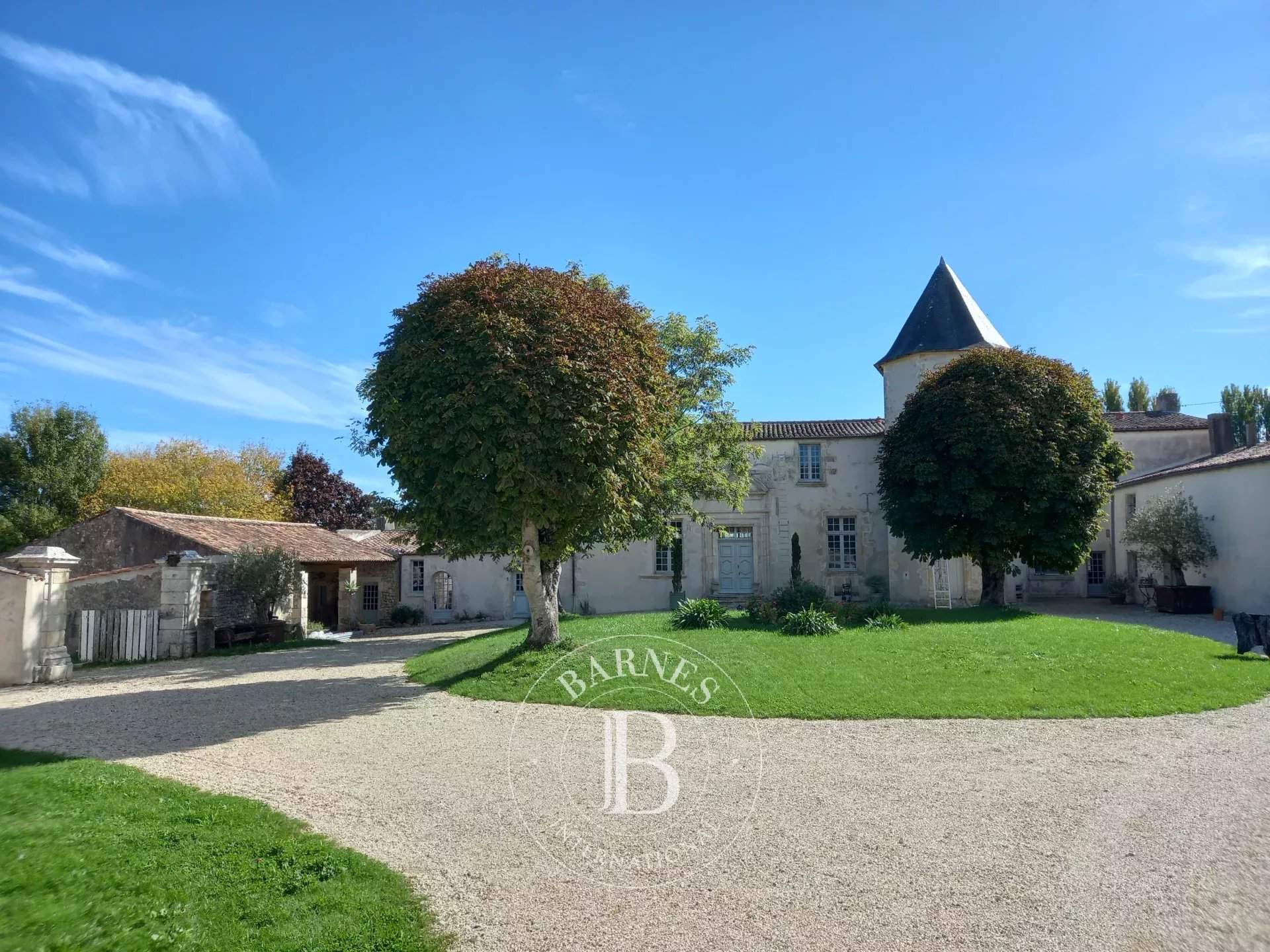 Royan  - Castle 21 Bedrooms - picture 9