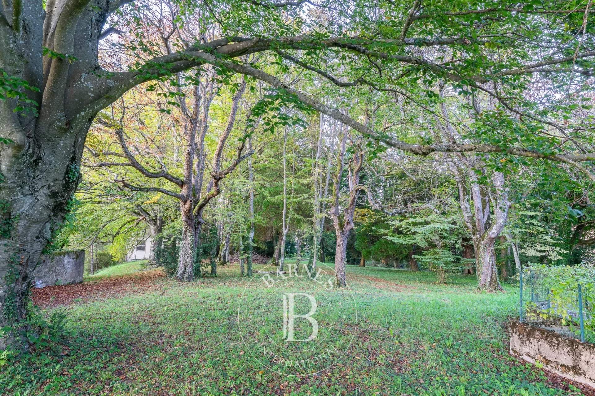 Eyzin-Pinet  - Castle  - picture 13