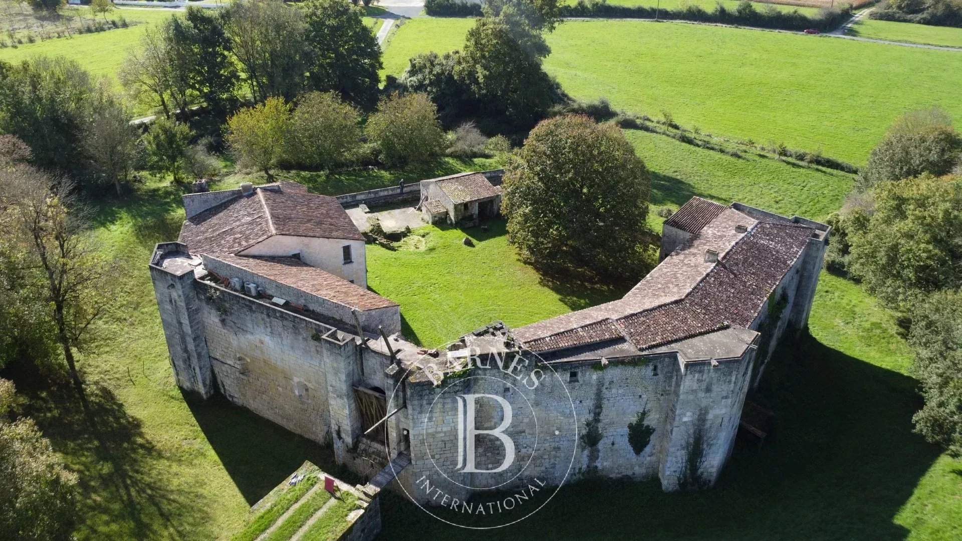 Saintes  - Château 12 Pi&egrave;ces 9 Chambres - picture 2