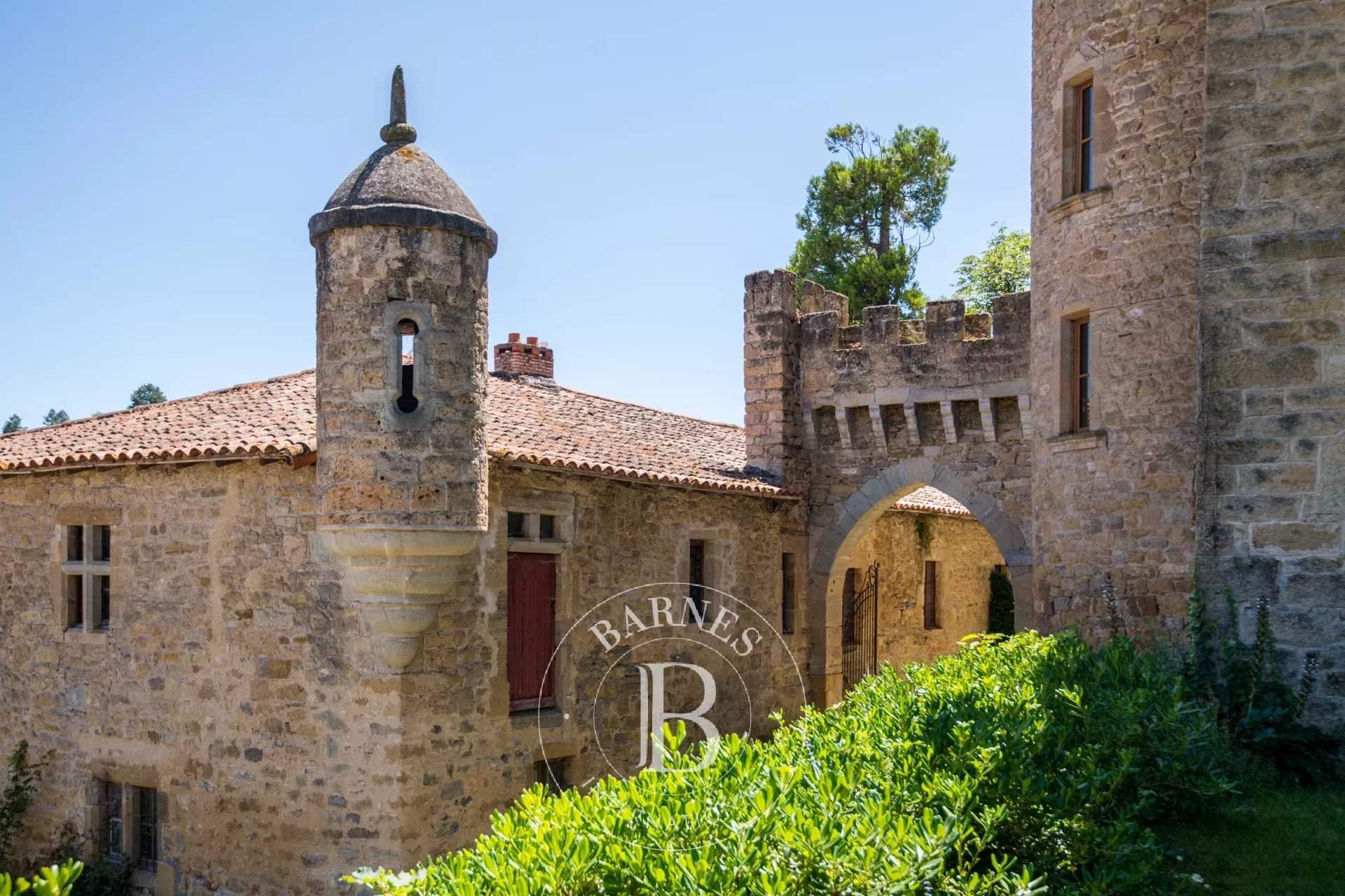 Millau  - Castle 11 Bedrooms - picture 3