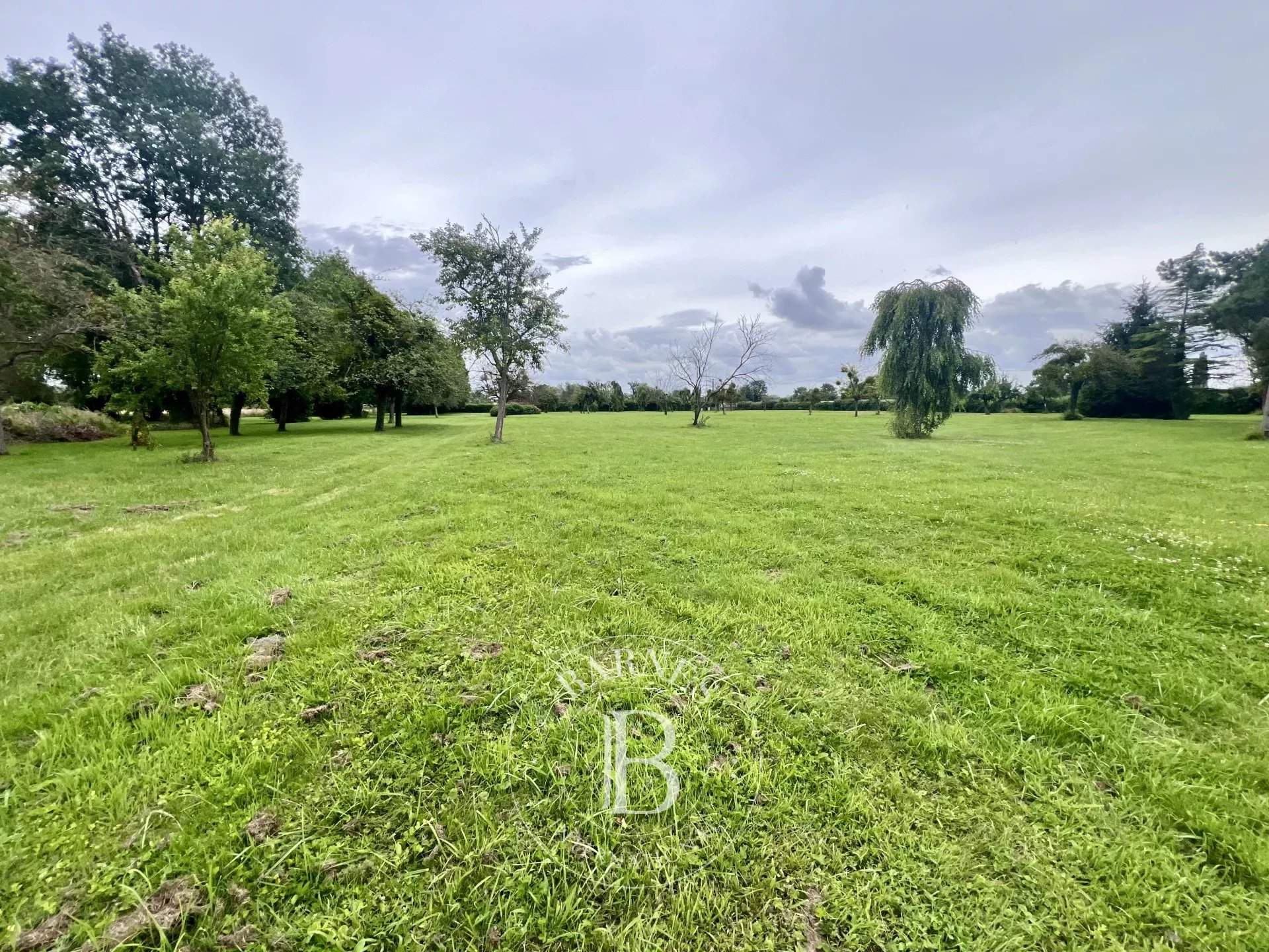 Anneville-Ambourville  - Maison 6 Pièces 4 Chambres - picture 17