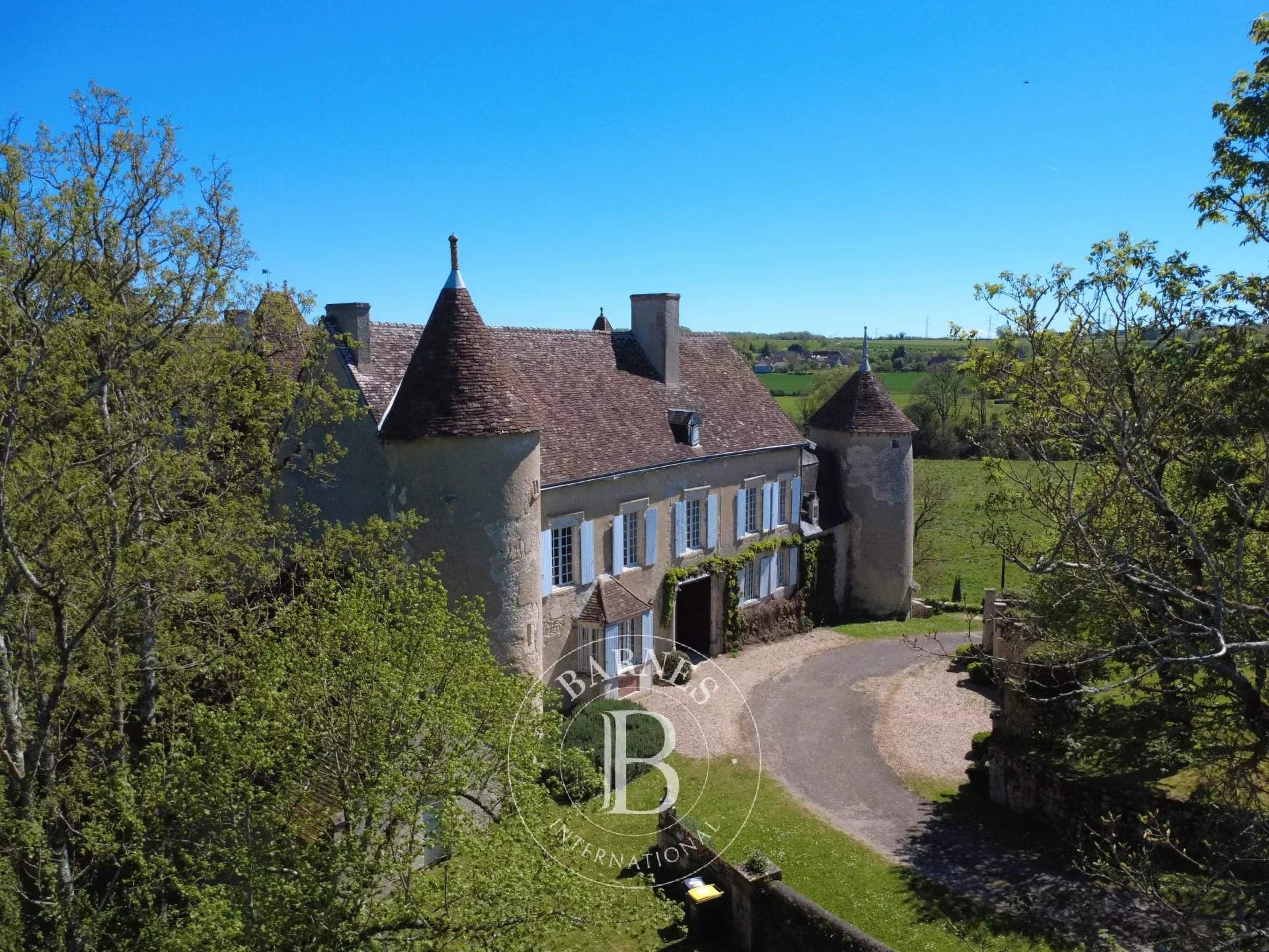 Châtellerault  - Château 9 Pi&egrave;ces 6 Chambres - picture 16