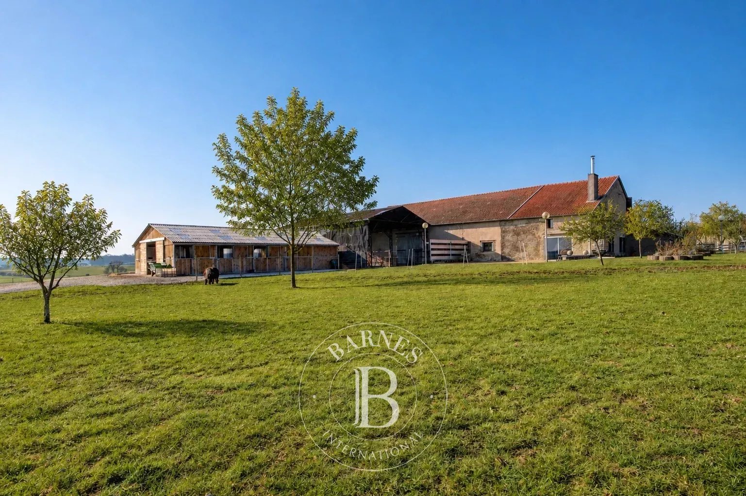 Lachaussée  - Domaine équestre  - picture 1