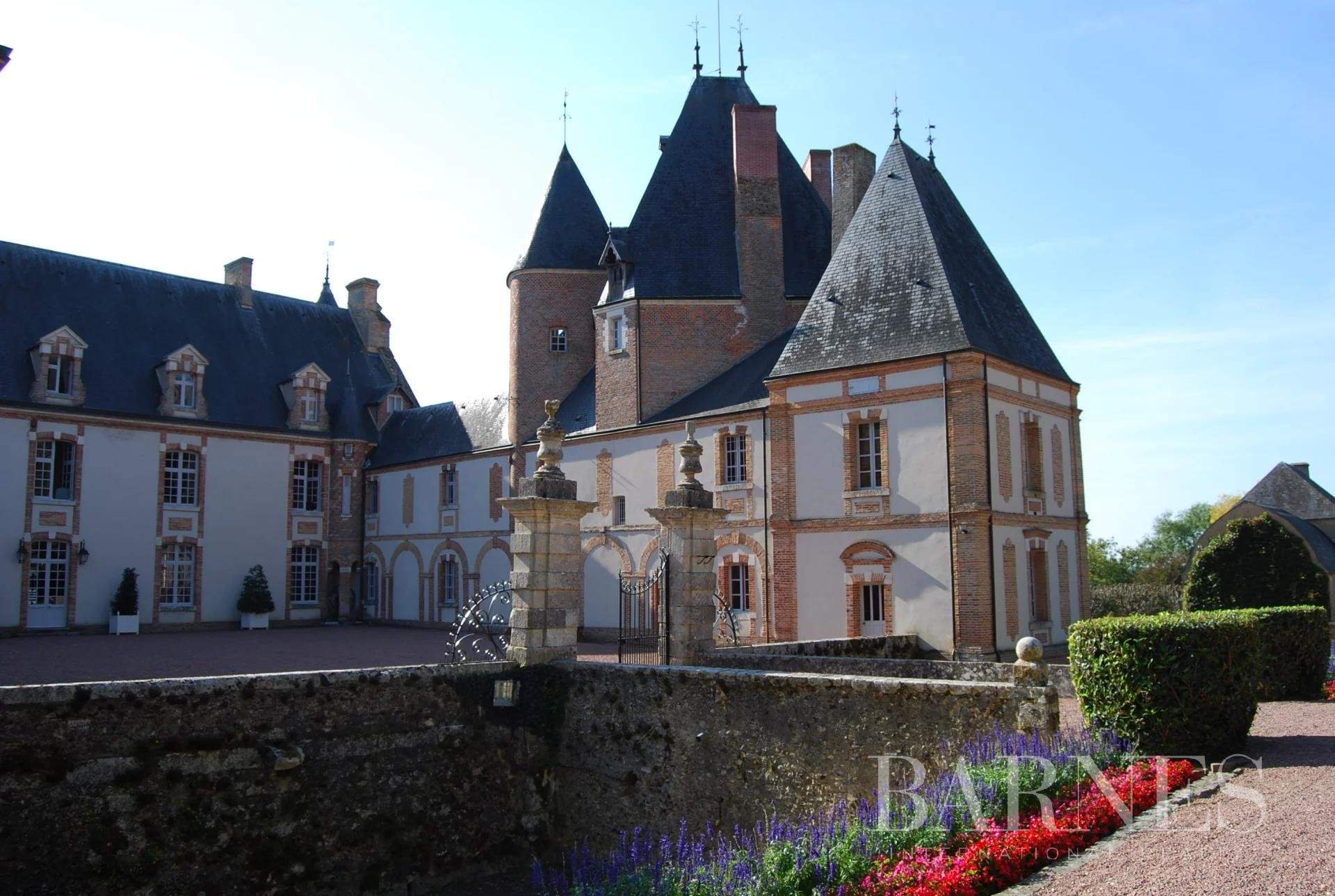 Aubigny-sur-Nère  - Château 30 Pièces - picture 20