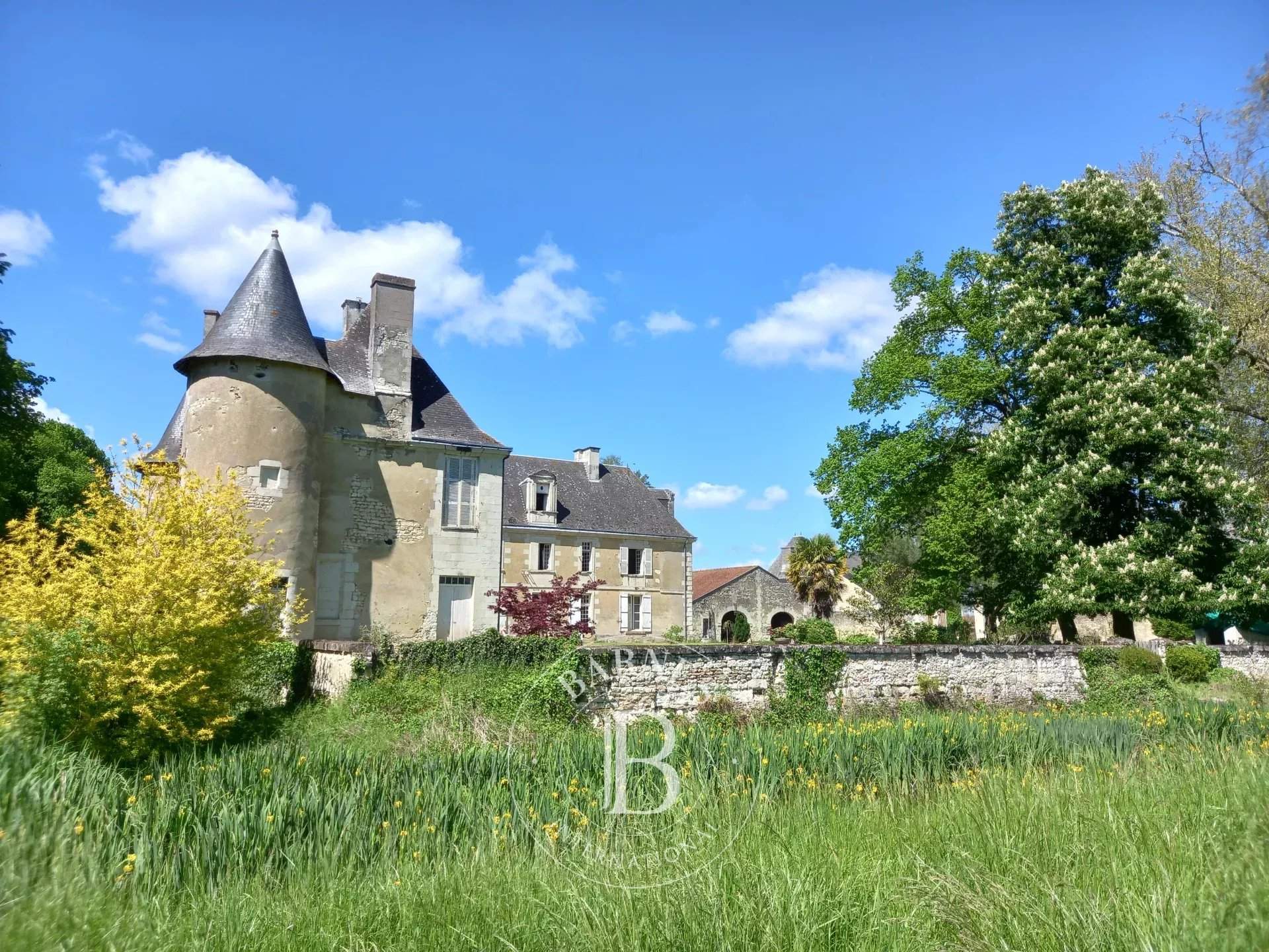 Châtellerault  - Château 18 Pièces 8 Chambres - picture 17