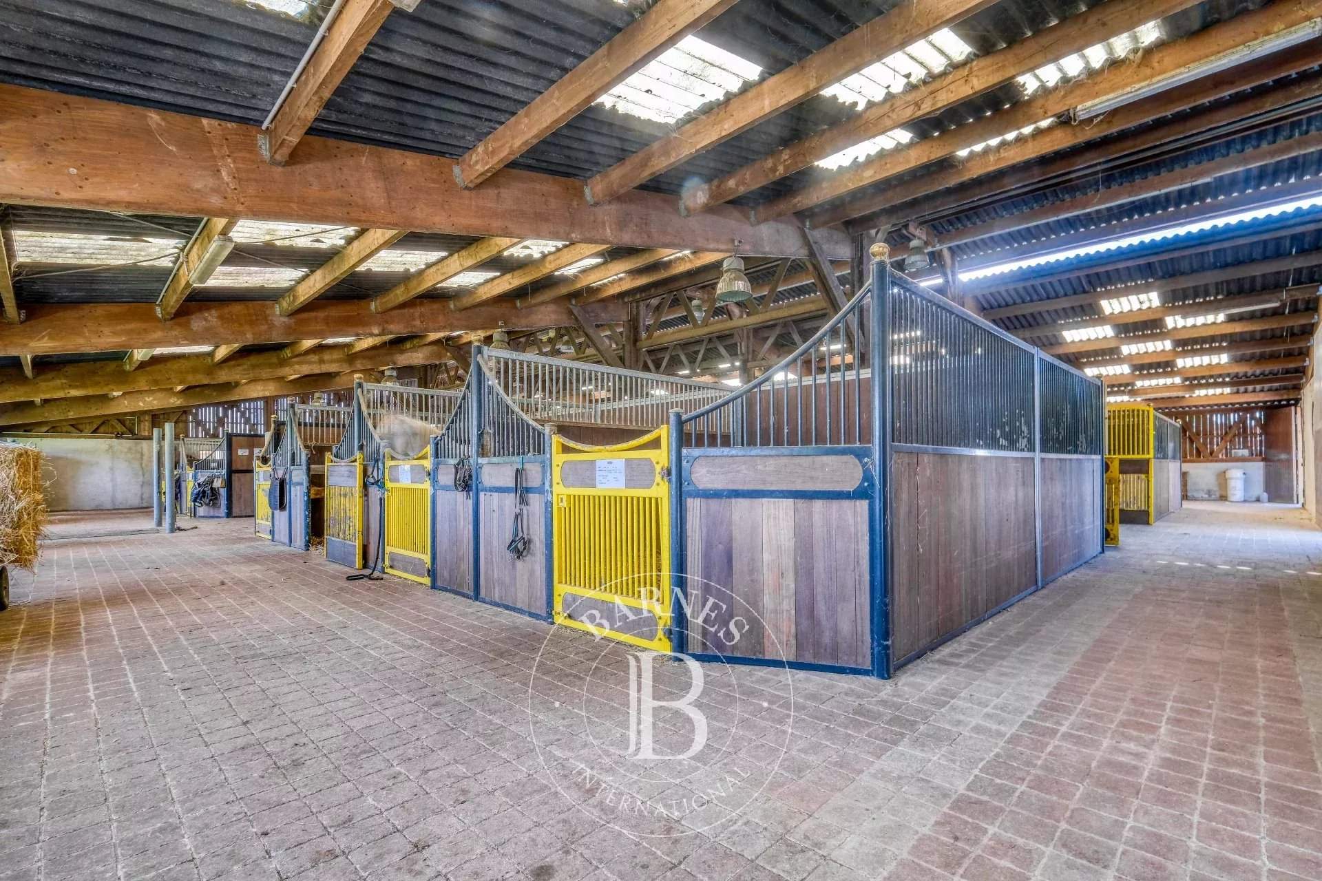 Donchery  - Castillo  - picture 13