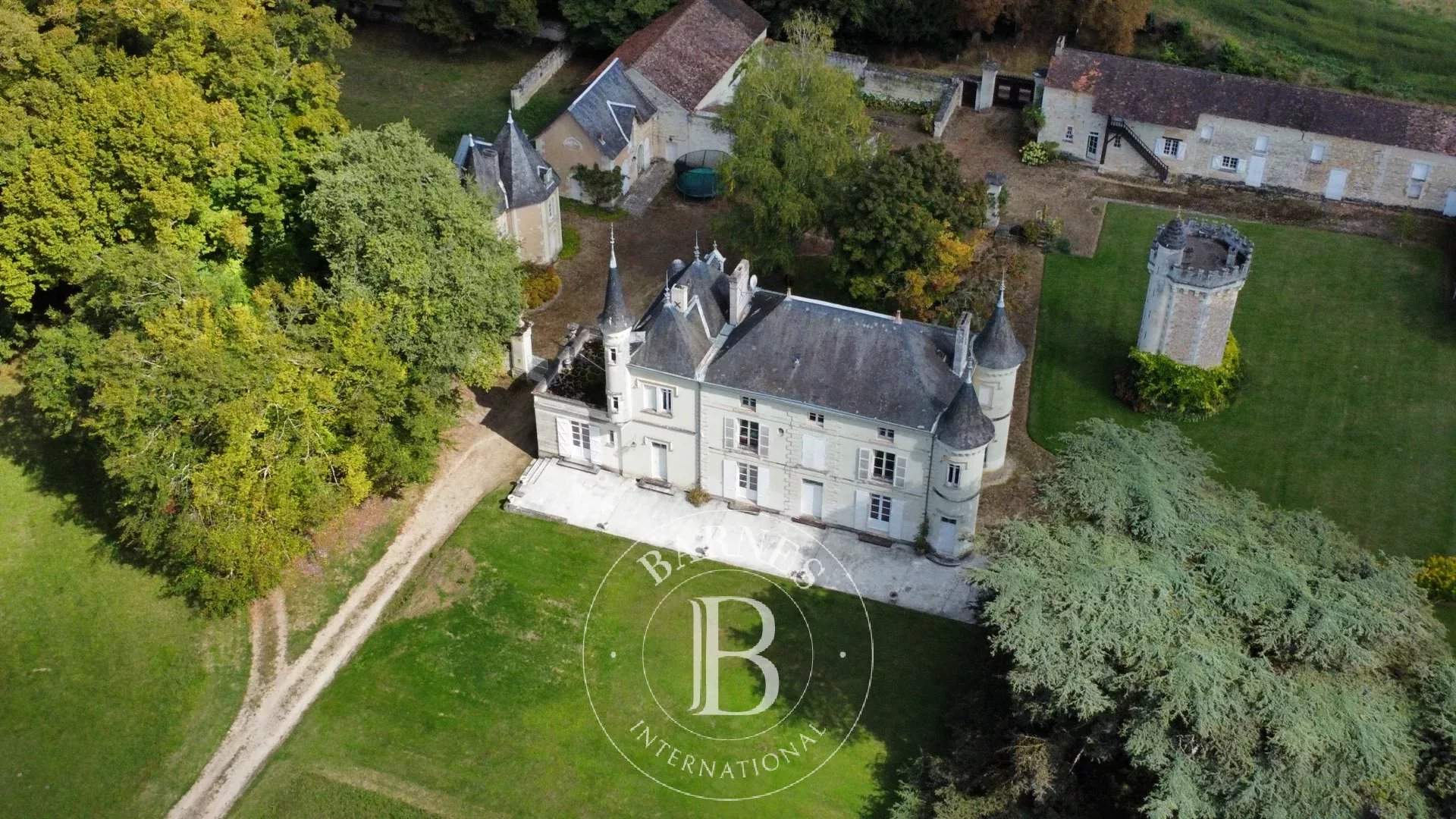 Châtellerault  - Castle 9 Bedrooms - picture 9