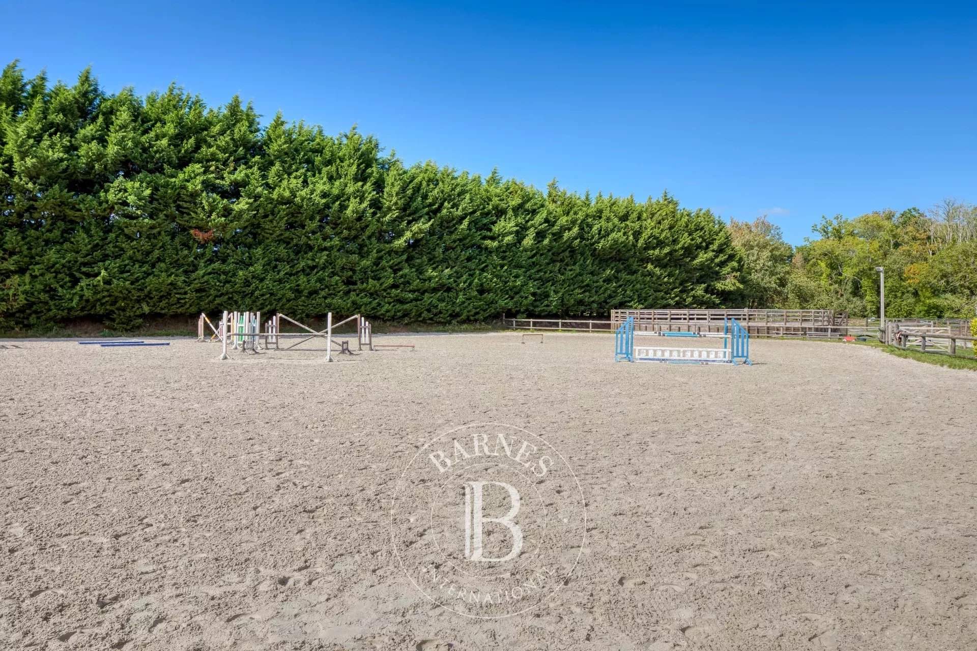 Villerville  - Equestrian estate  - picture 7