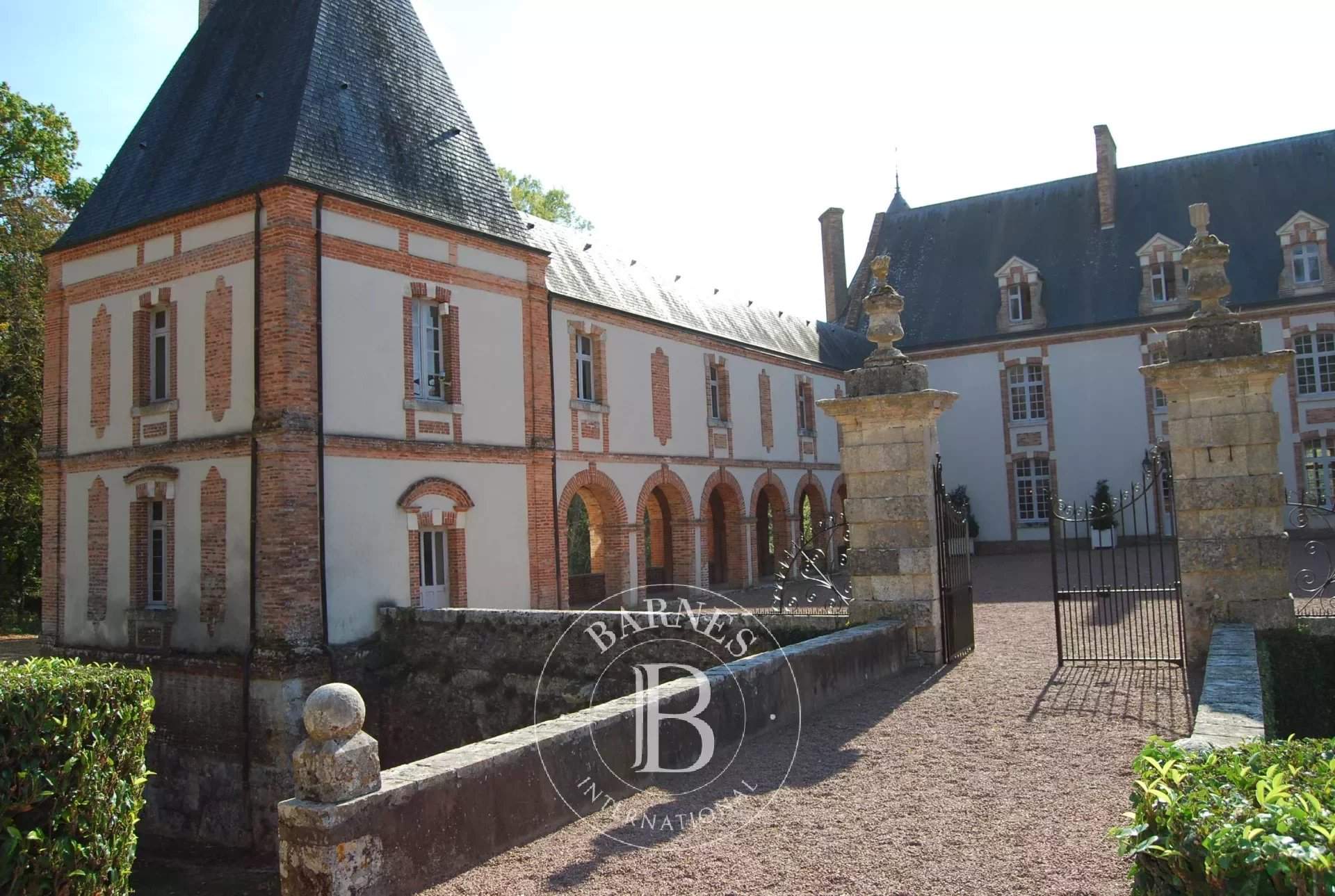 Aubigny-sur-Nère  - Château 30 Pièces 20 Chambres - picture 20