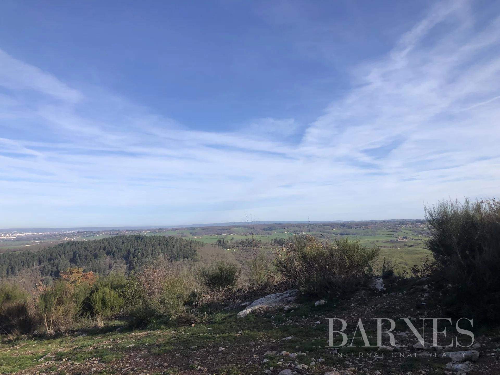 Balbigny  - Domaine de chasse 5 Pièces - picture 9