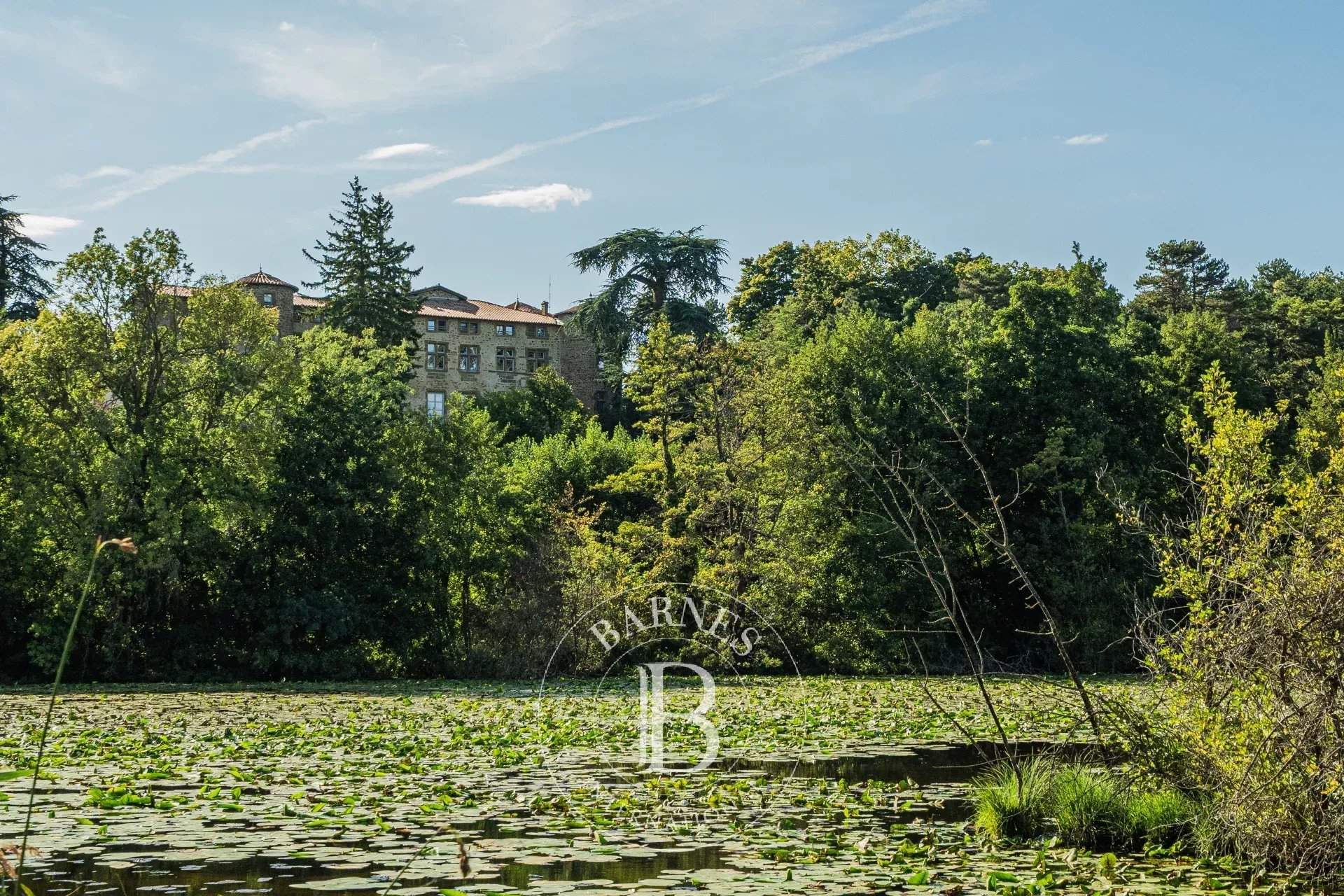 Chavannes  - Piso 3 Cuartos, 1 Habitacion - picture 15