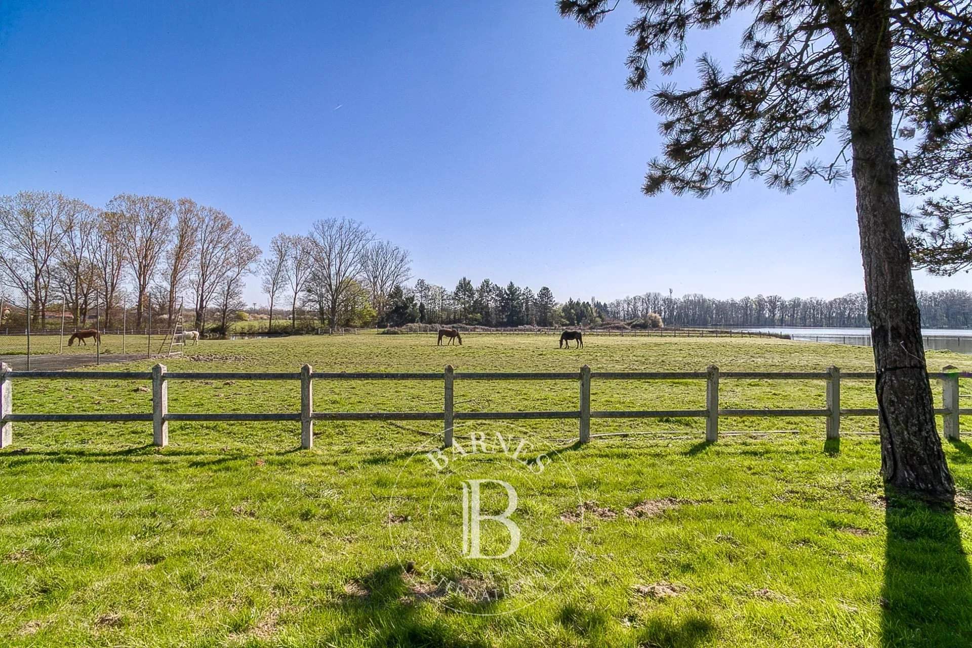 Villars-les-Dombes  - Domaine équestre 12 Pi&egrave;ces 7 Chambres - picture 9