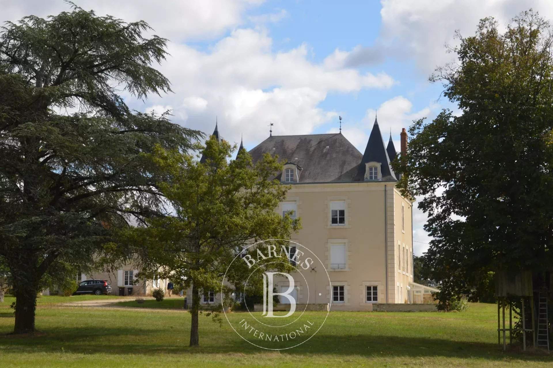 La Trimouille  - Manor house 12 Bedrooms - picture 3