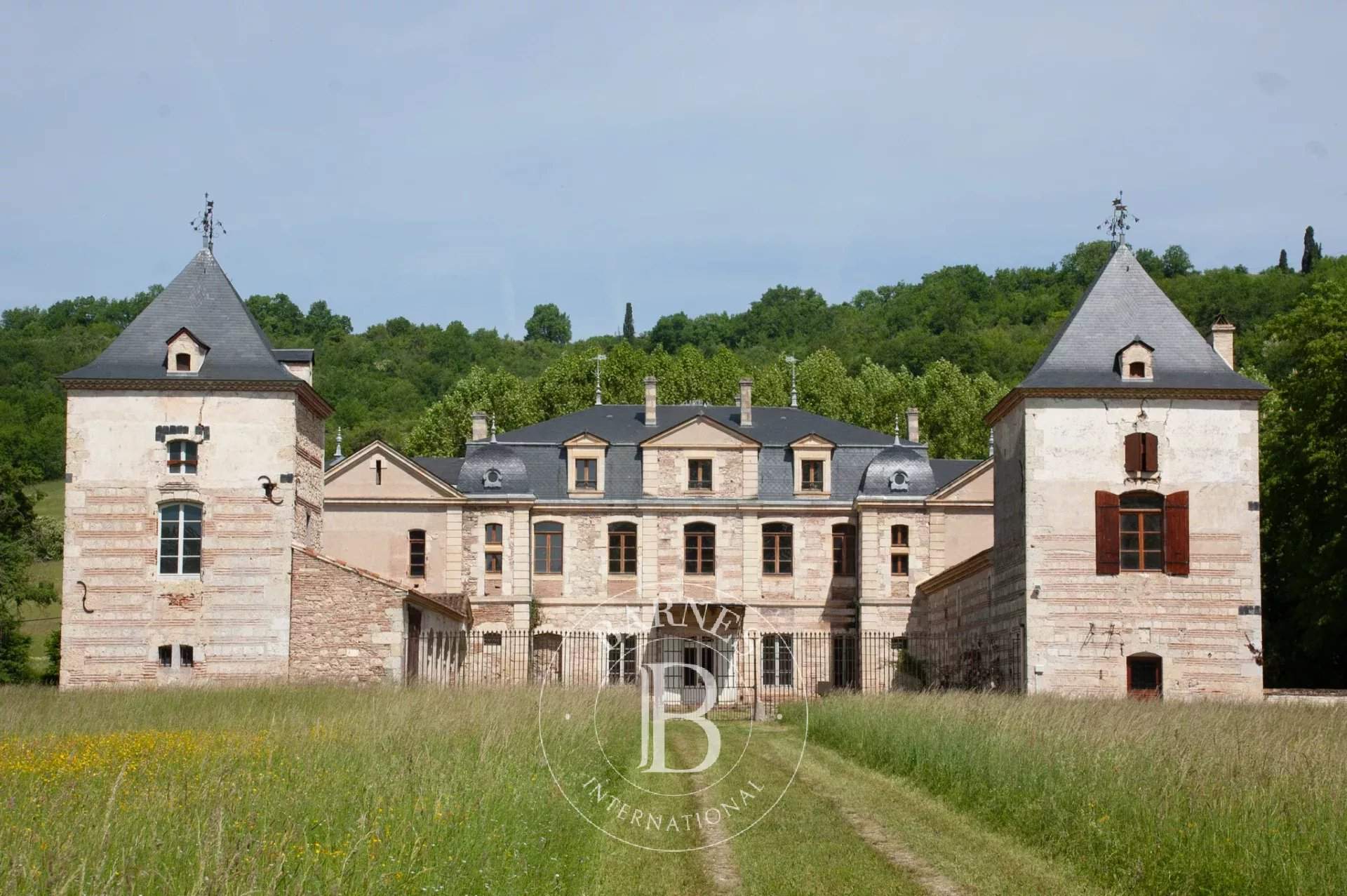 Clairac  - Château 22 Pièces 11 Chambres - picture 4