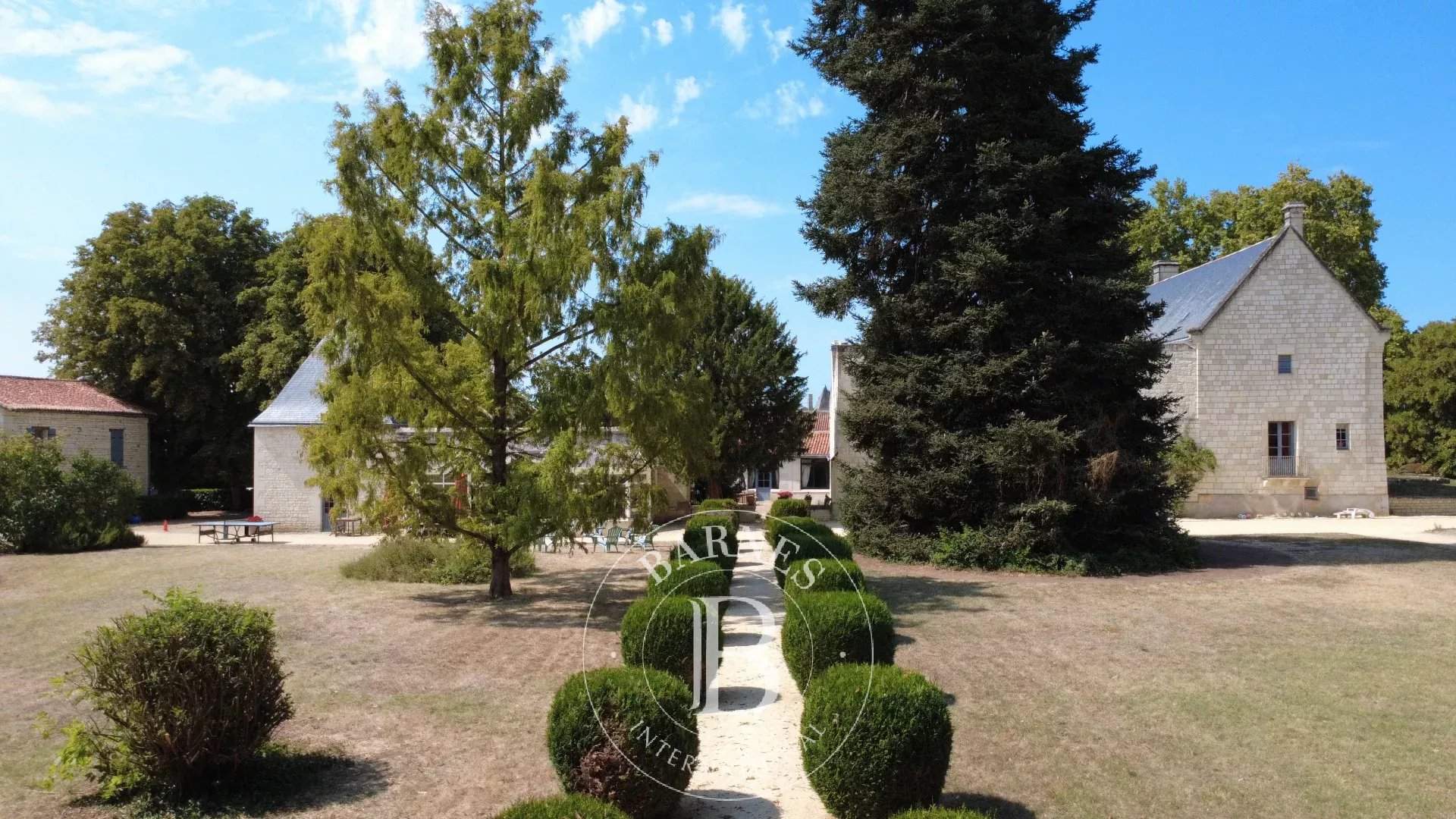 Chinon  - Château 17 Pi&egrave;ces 9 Chambres - picture 6