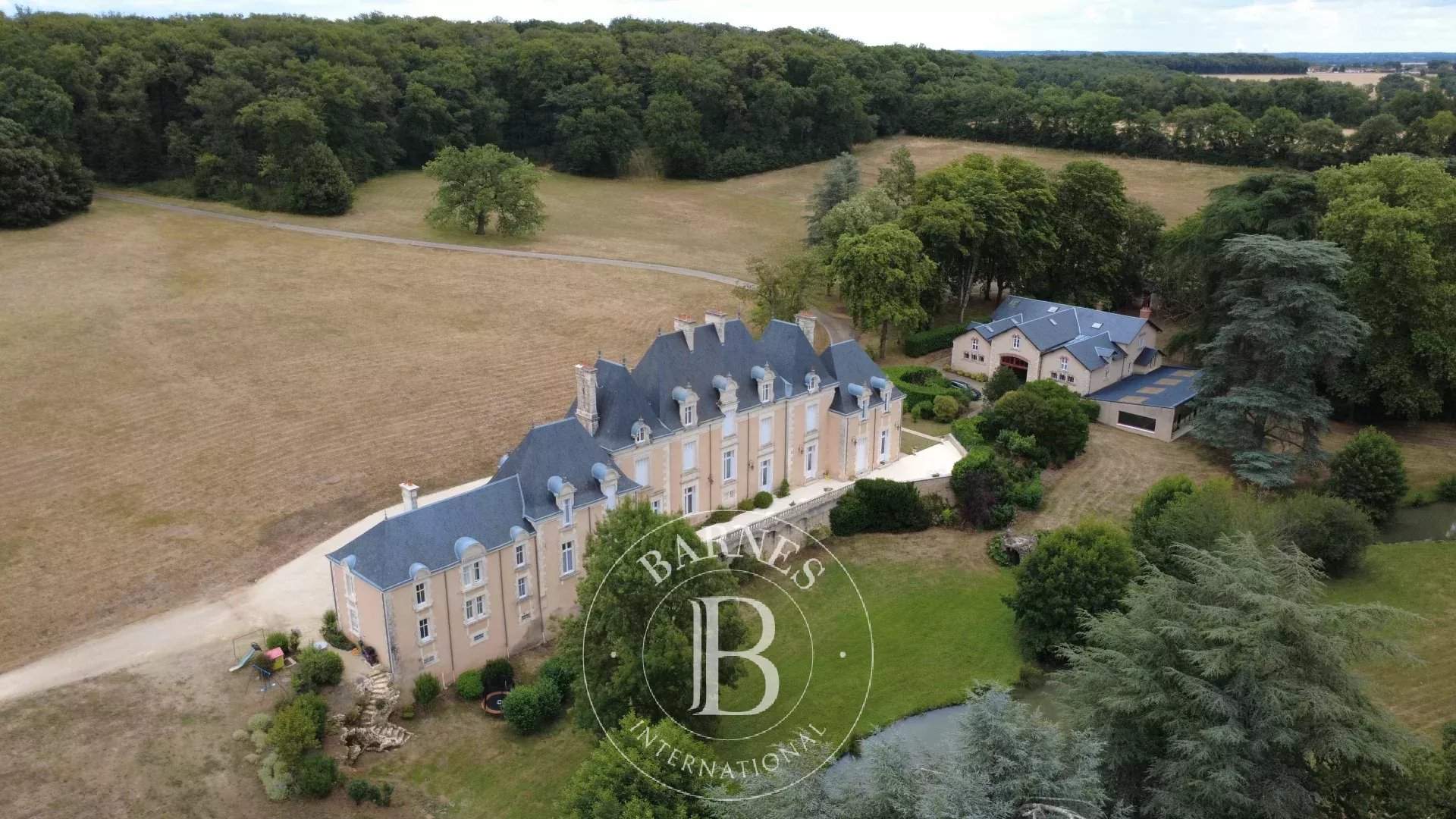 Poitiers  - Château 22 Pièces 12 Chambres - picture 2