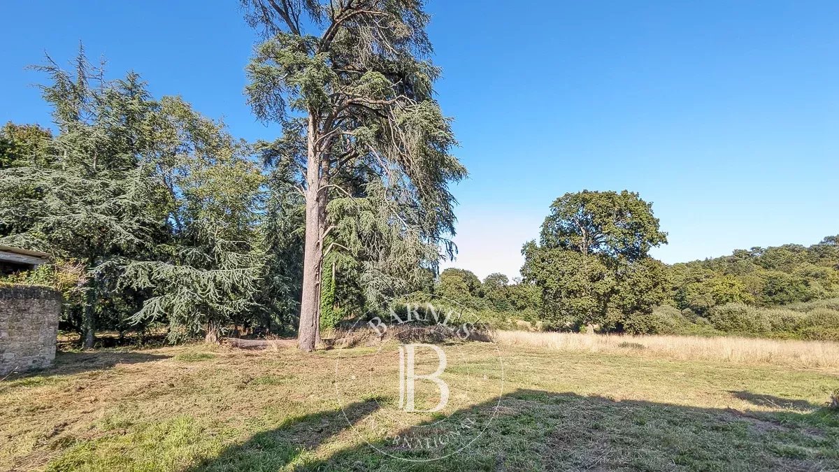 Auray  - Château 20 Pi&egrave;ces 11 Chambres - picture 8