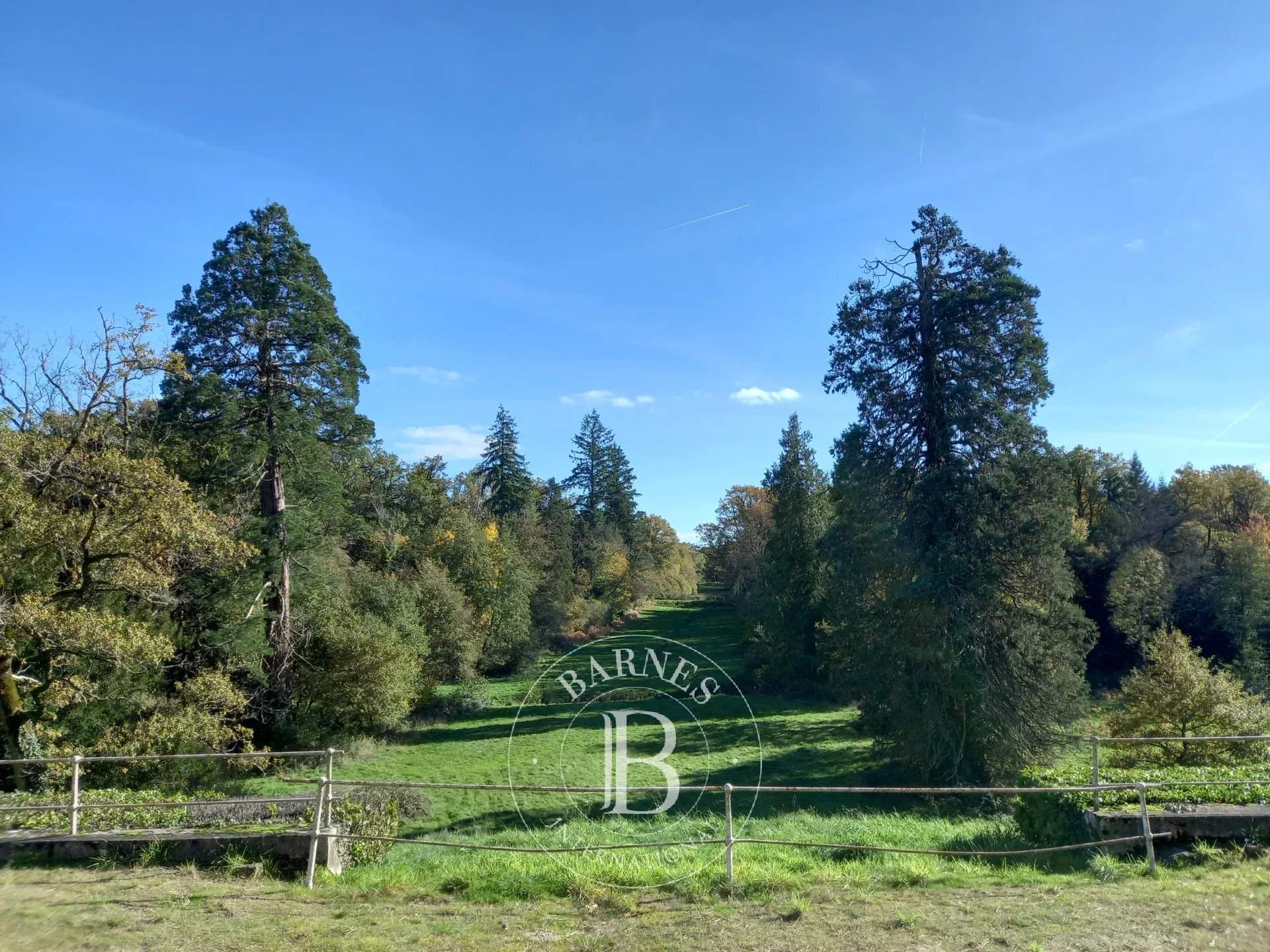 Le Dorat  - Château 12 Pi&egrave;ces 7 Chambres - picture 2