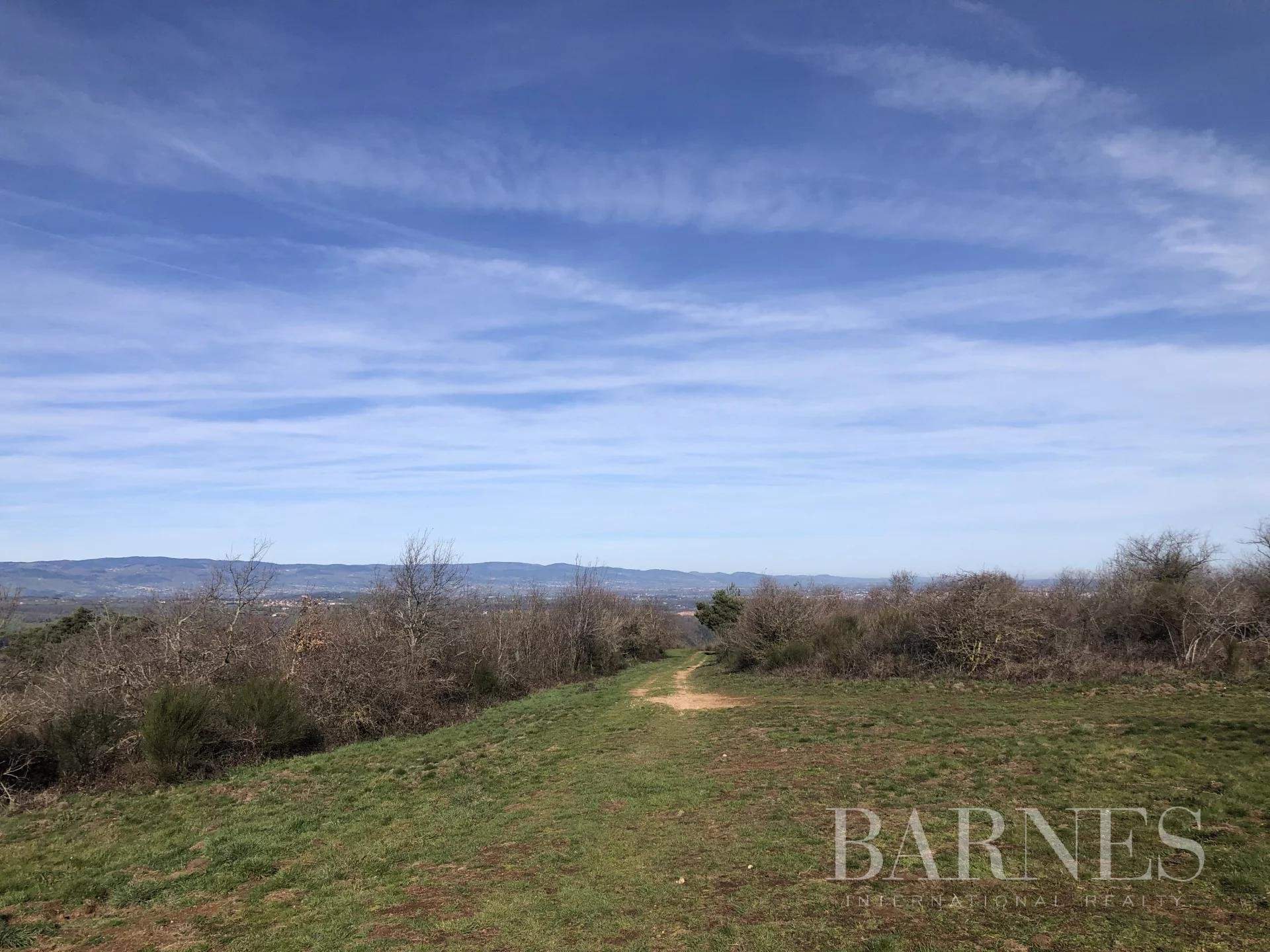 Balbigny  - Domaine de chasse 5 Pièces - picture 20