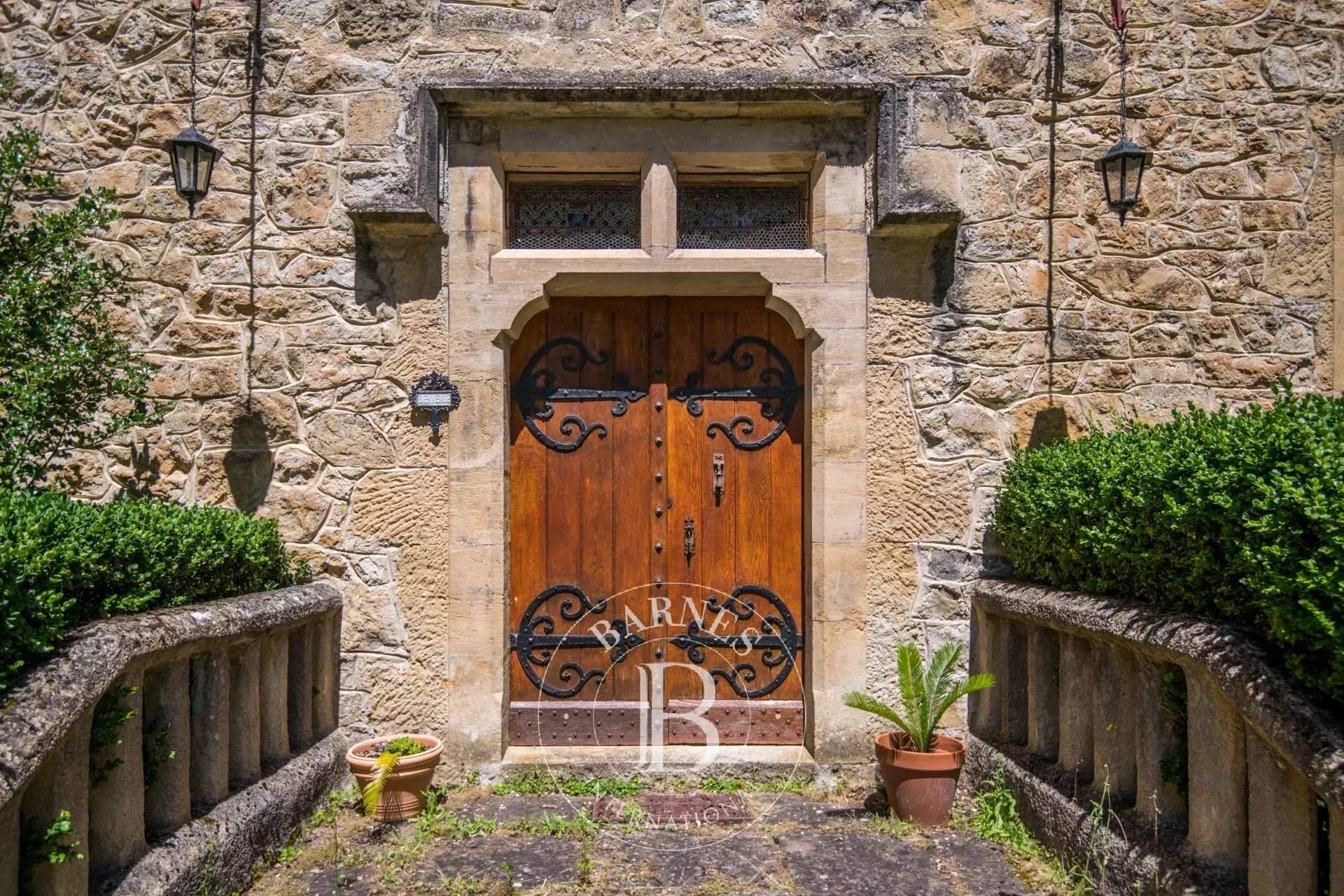 Millau  - Castle 11 Bedrooms - picture 4