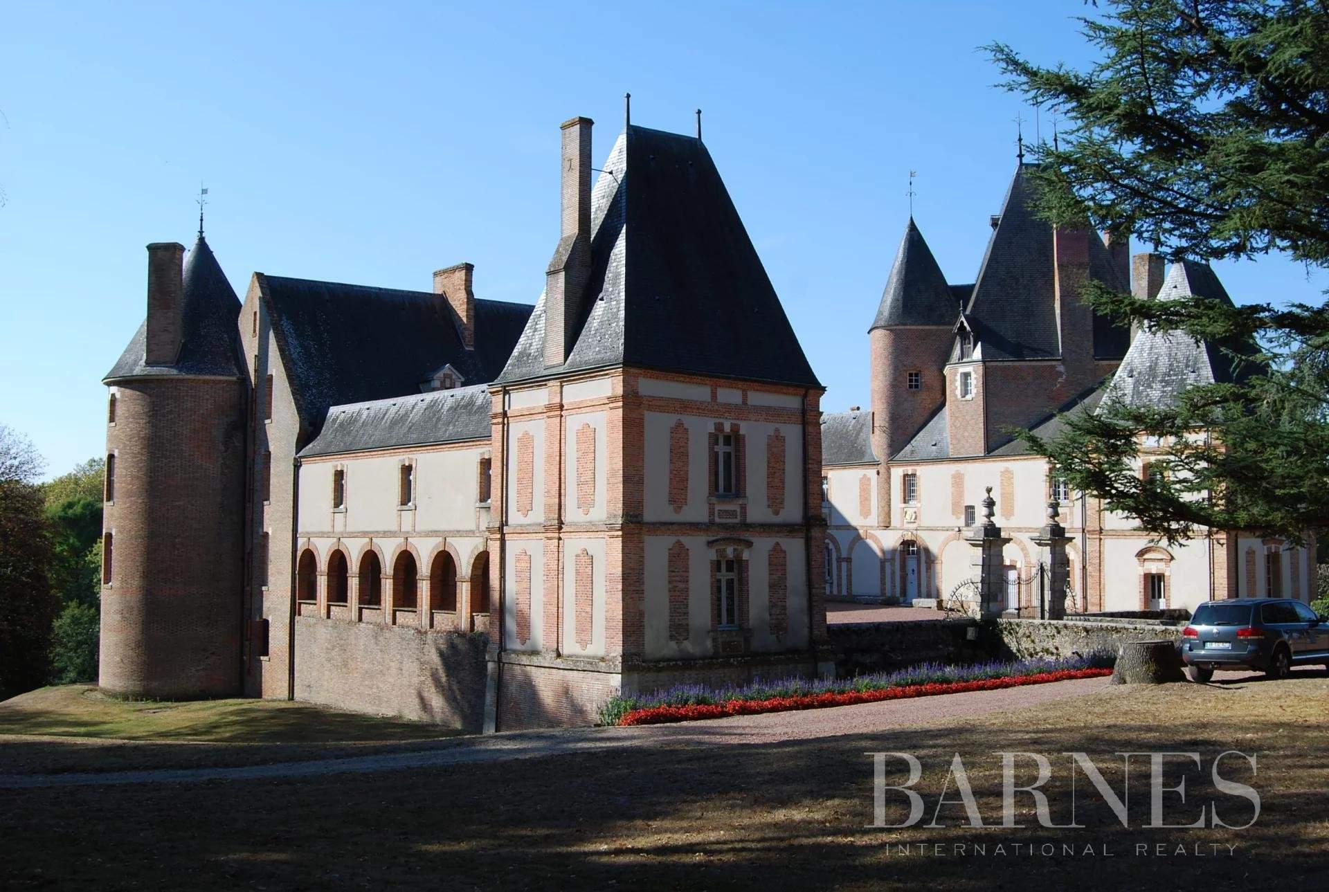 Aubigny-sur-Nère  - Château 30 Pièces - picture 17