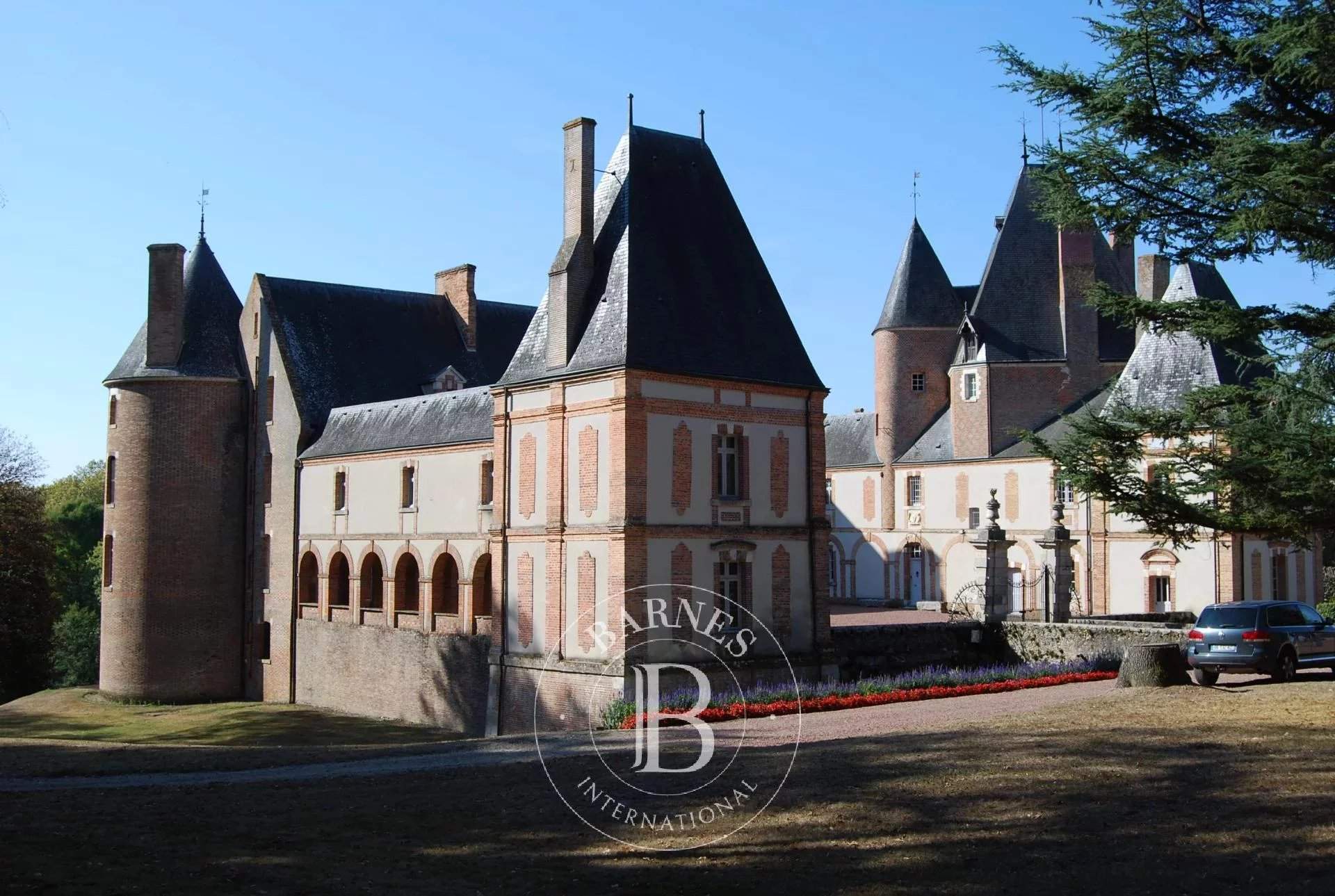 Aubigny-sur-Nère  - Castle 20 Bedrooms - picture 16