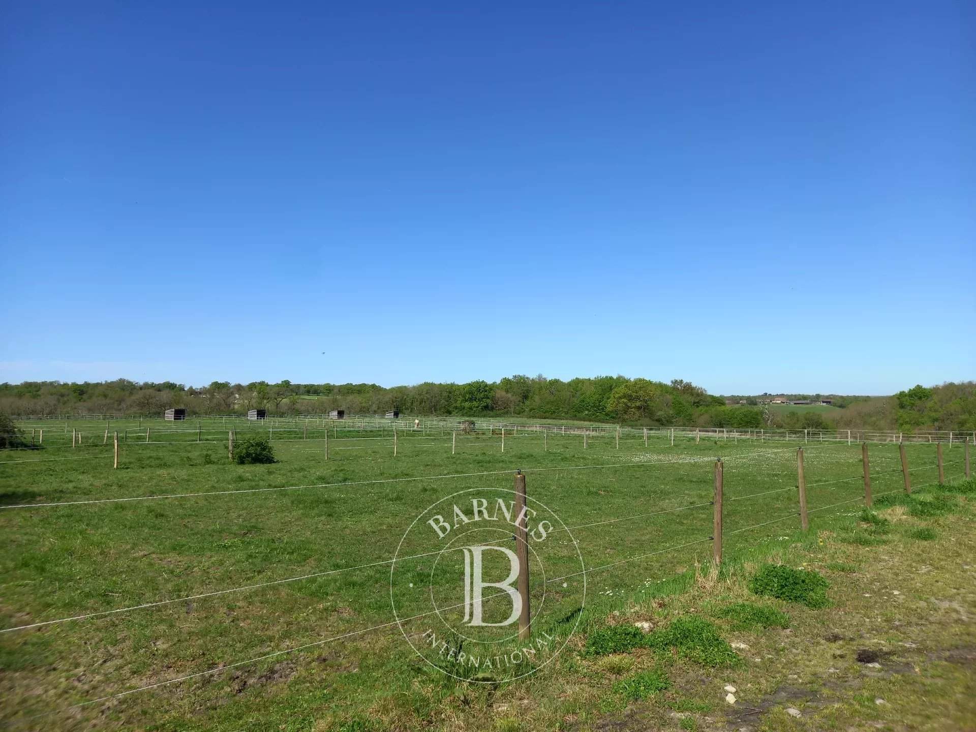 Montmorillon  - Domaine équestre 8 Pi&egrave;ces 5 Chambres - picture 8