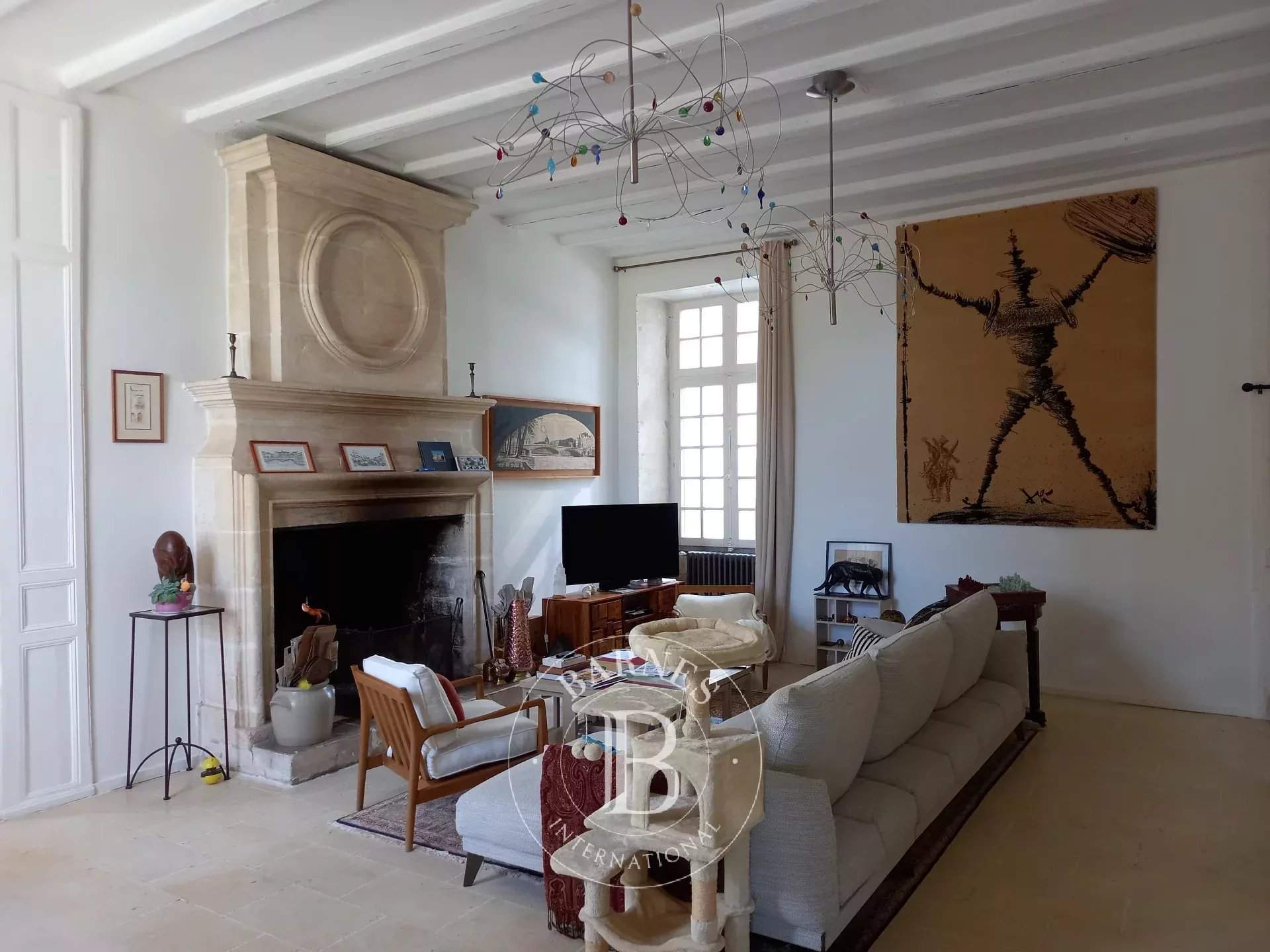 Royan  - Castle 21 Bedrooms - picture 5